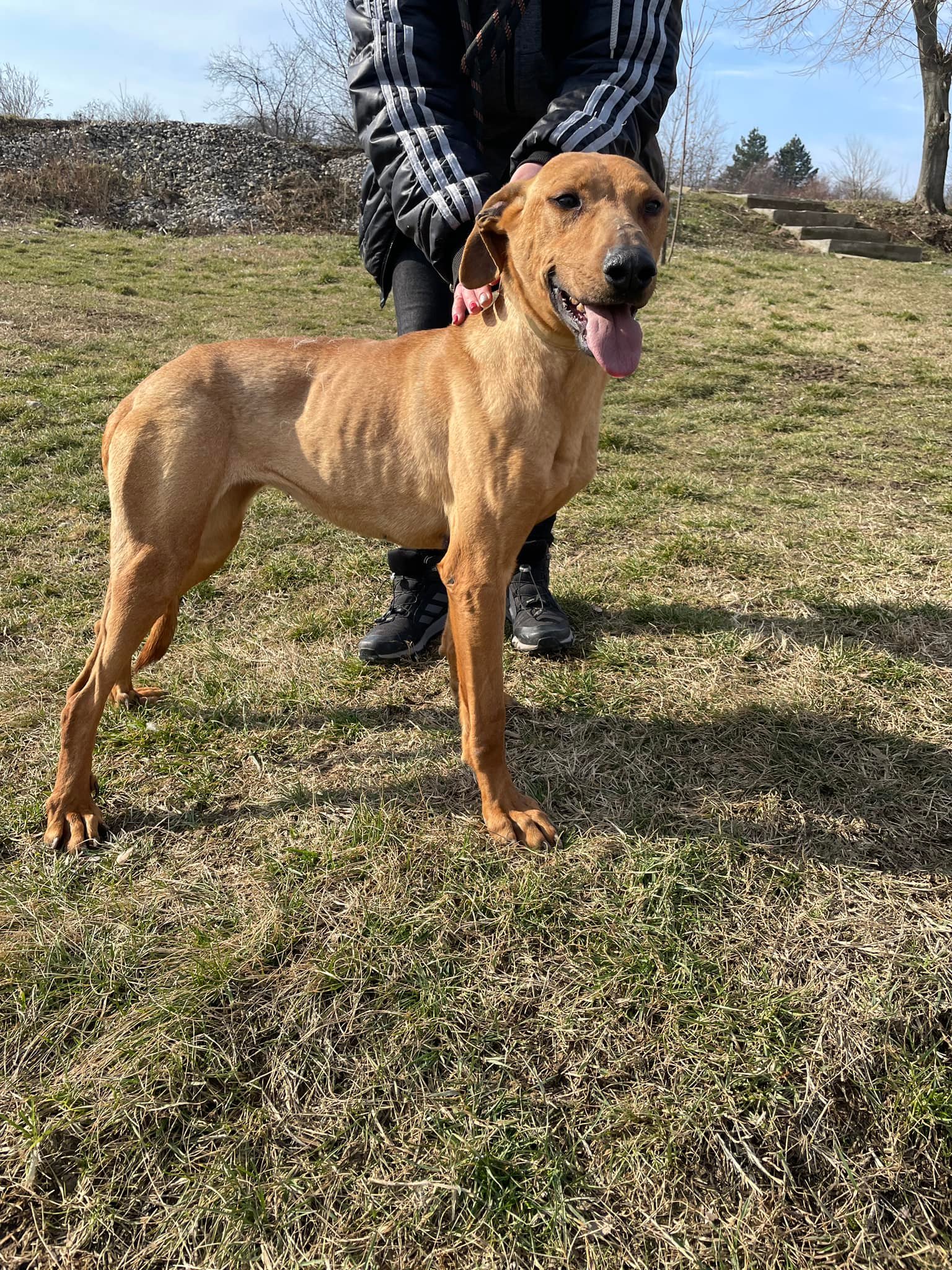 Gabby, Bild 21