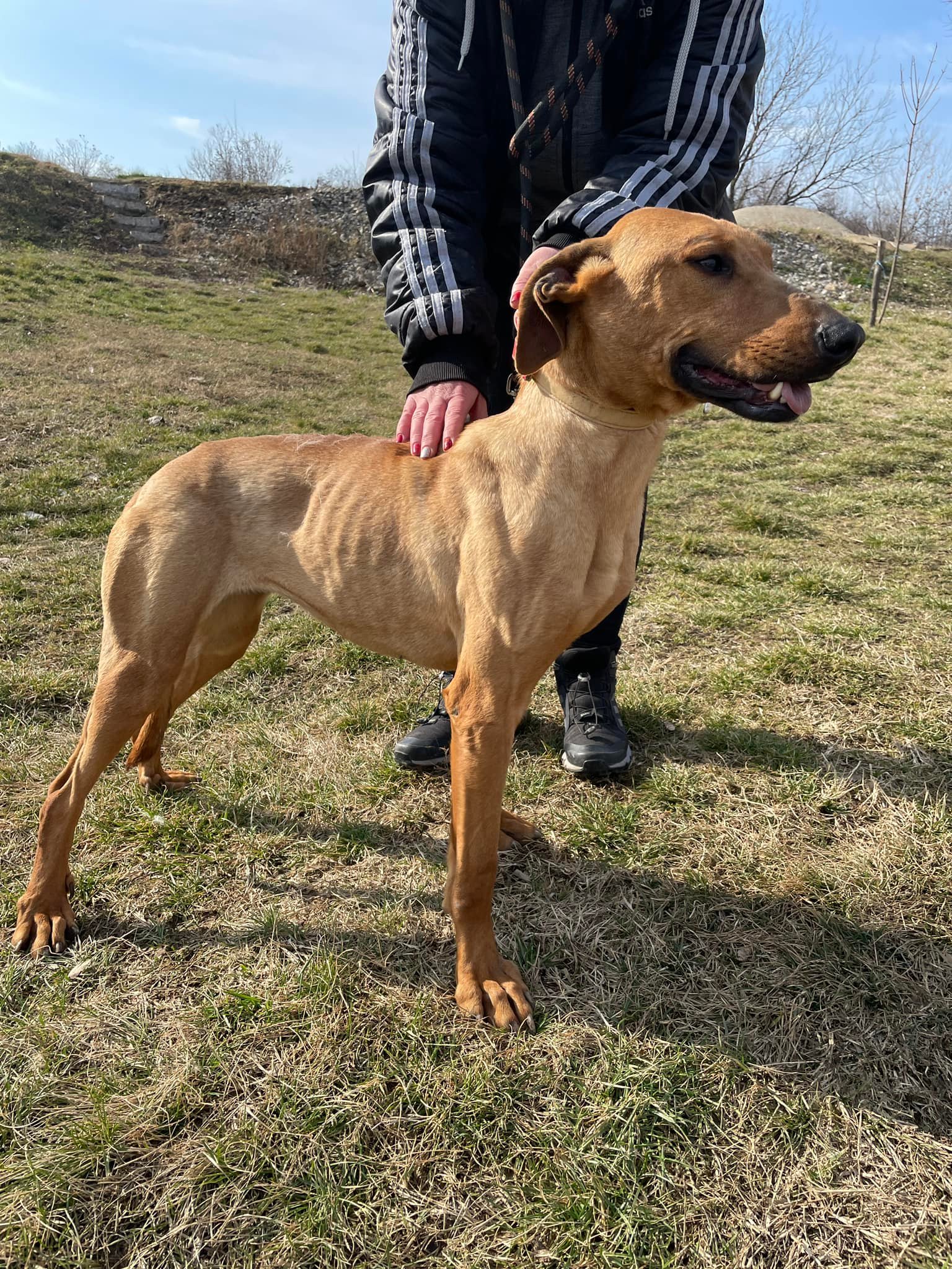 Gabby, Bild 24