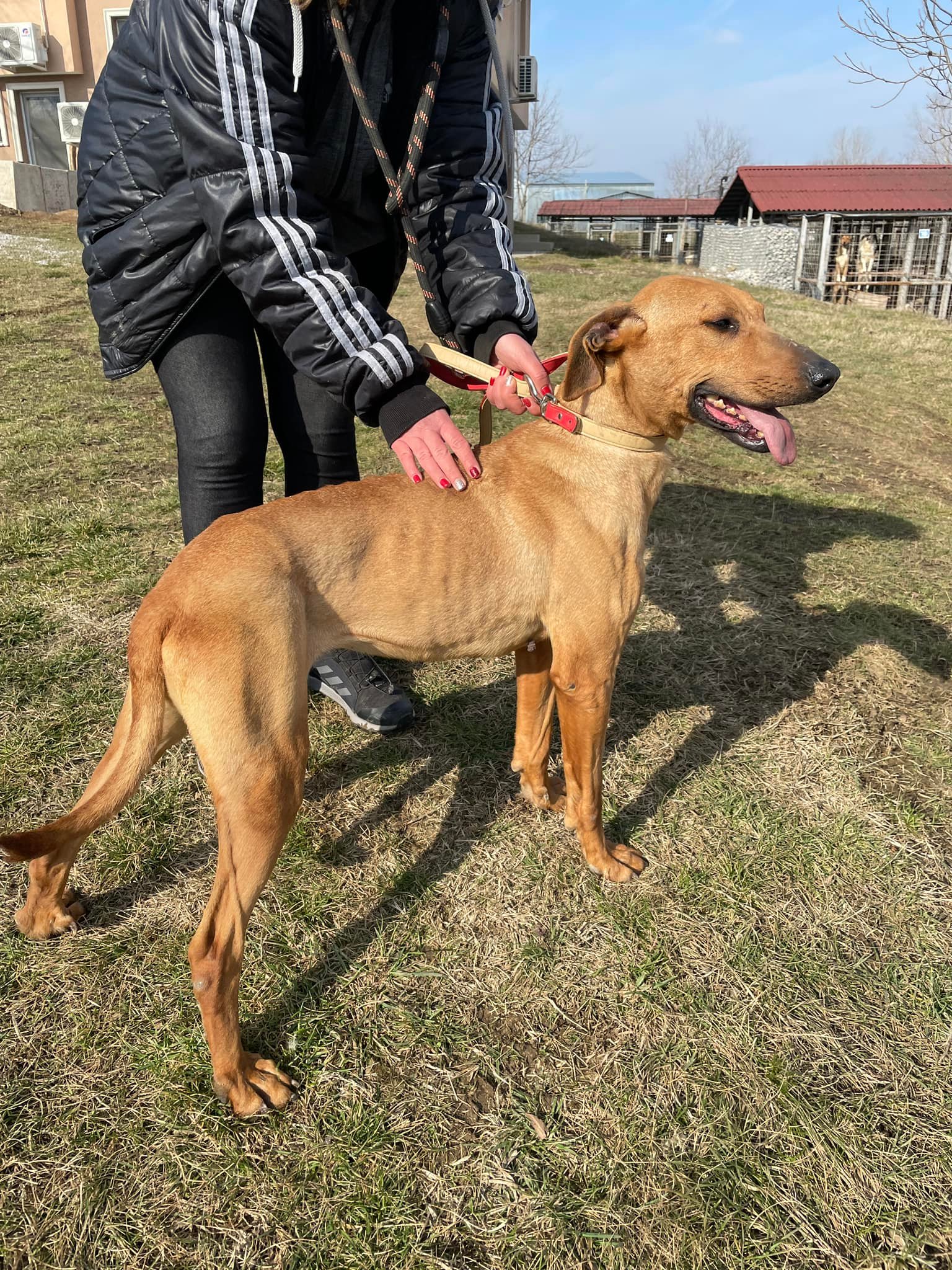 Gabby, Bild 25