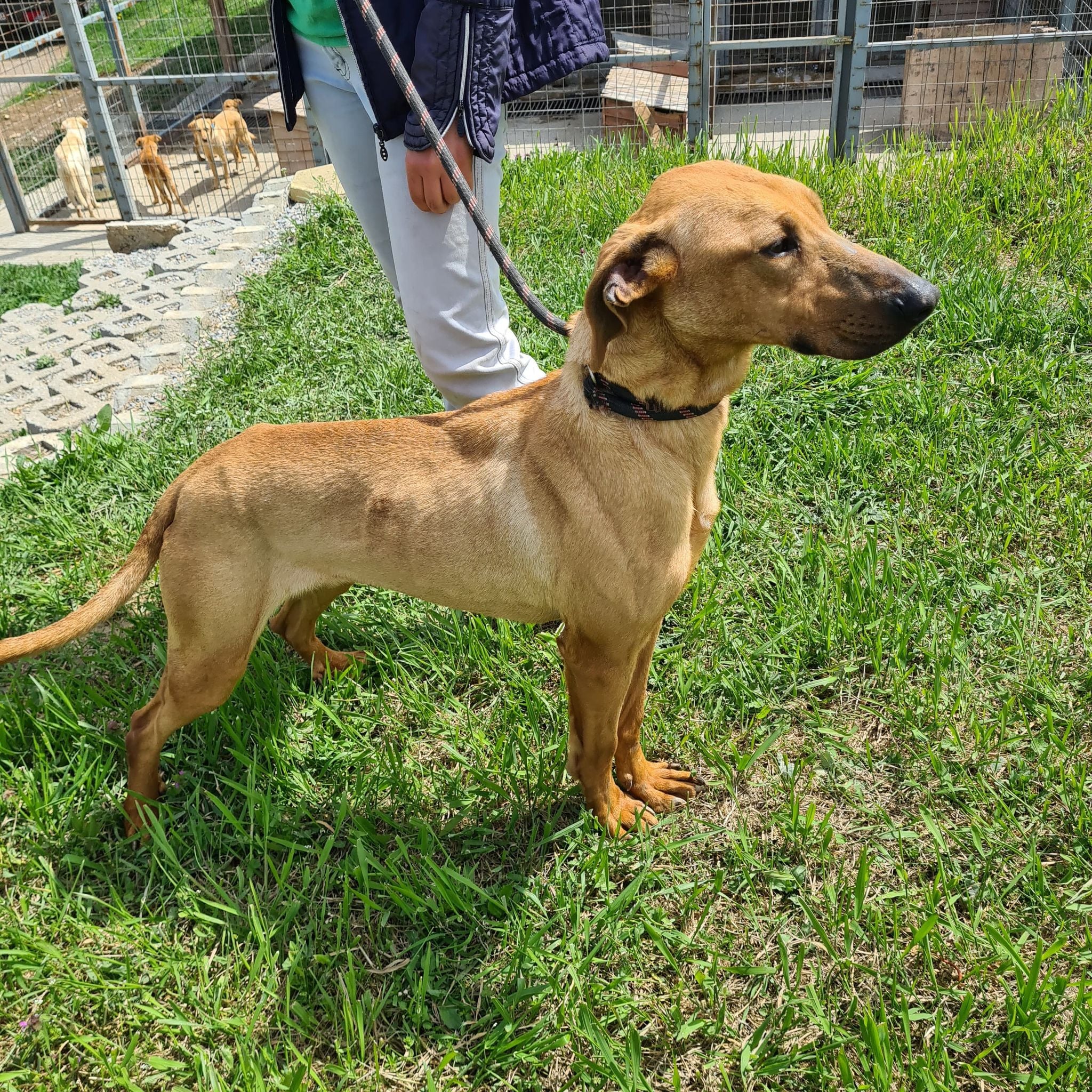 Gabby, Bild 4