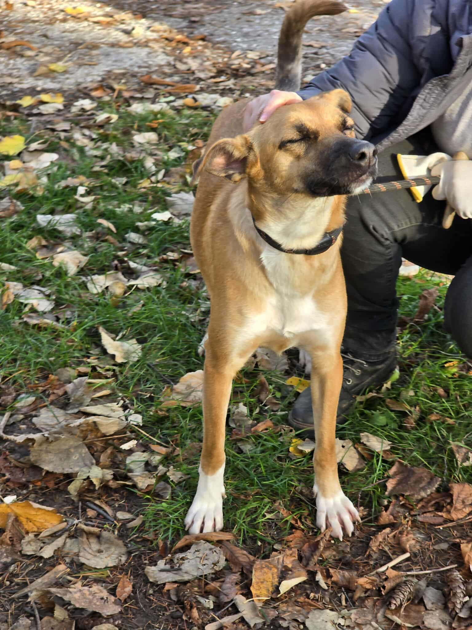 Gina, Bild 16