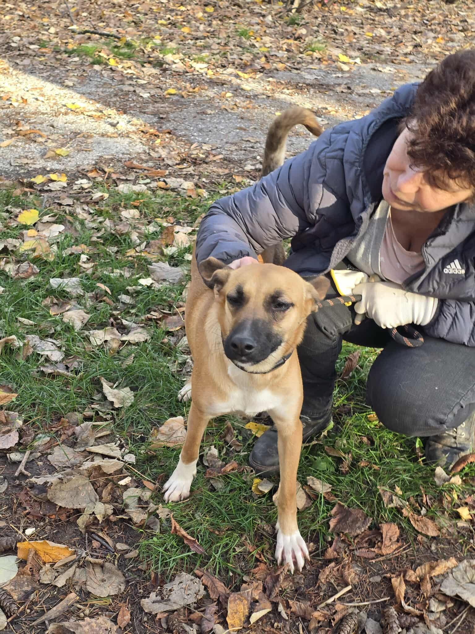 Gina, Bild 19