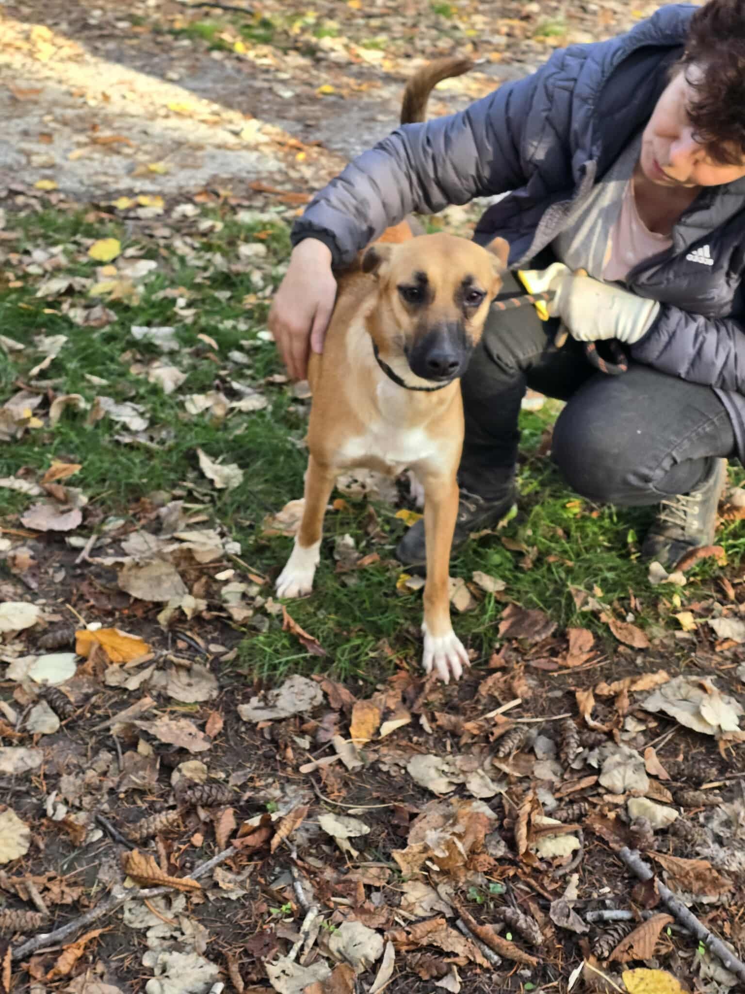 Gina, Bild 20