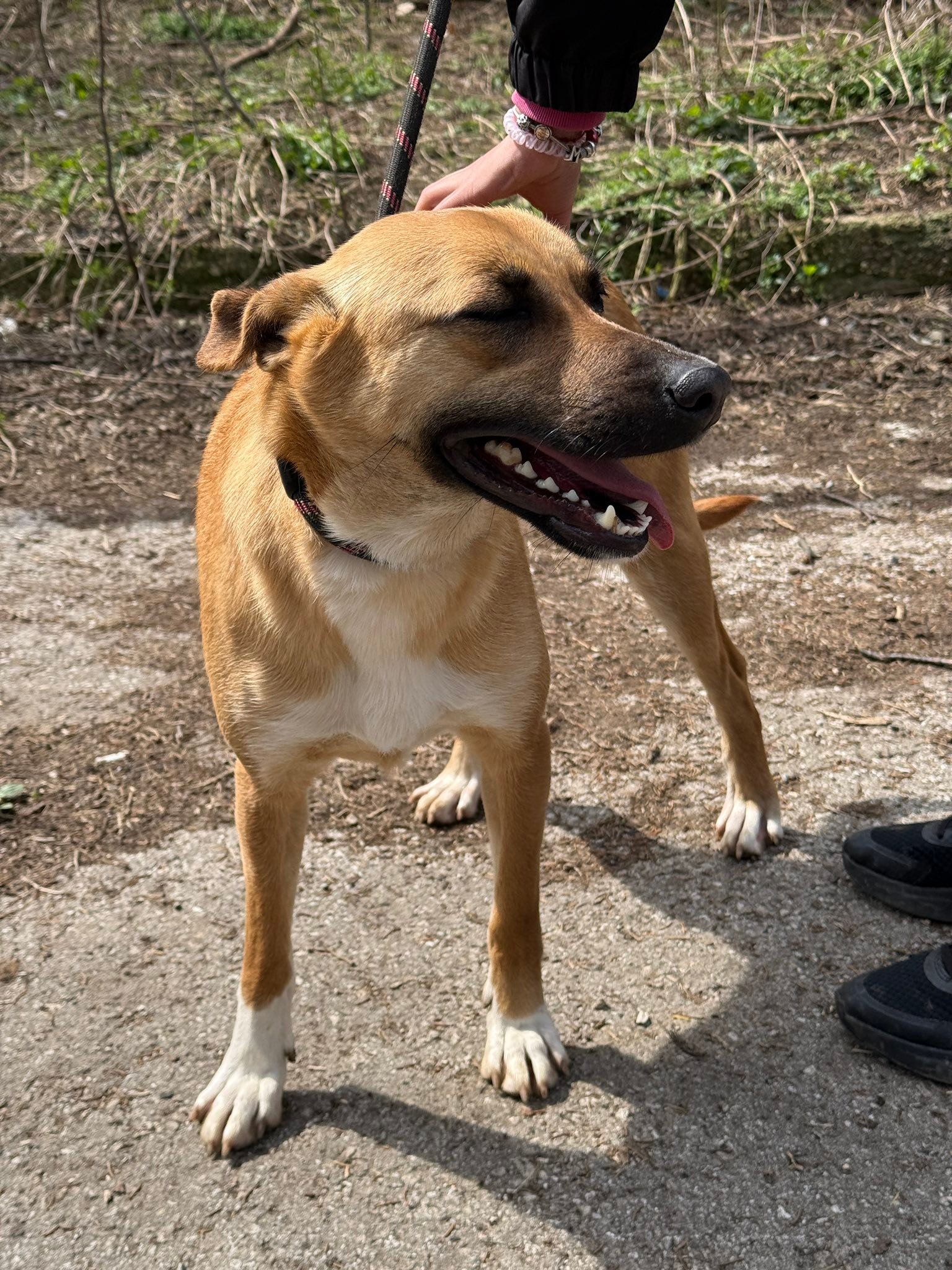 Gina, Bild 25