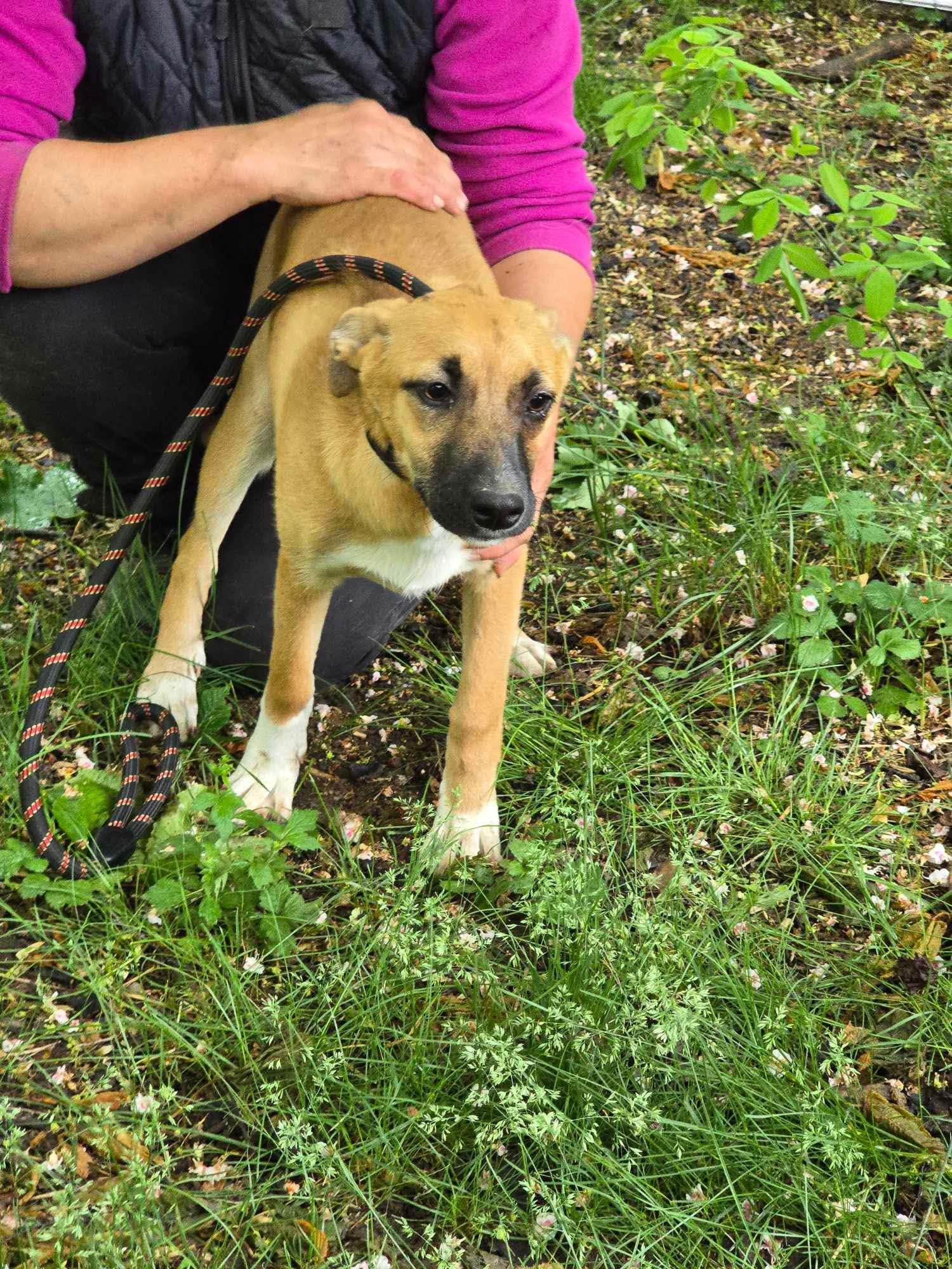 Gina, Bild 10