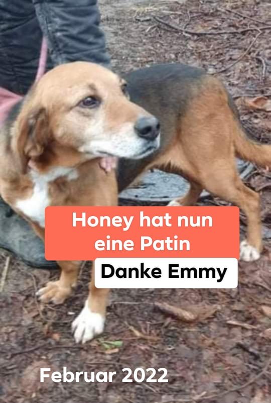 Honey, Bild 16