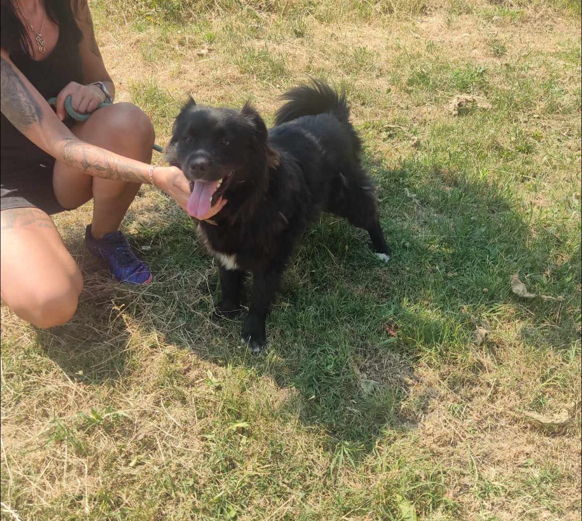 Jessie, Bild 2