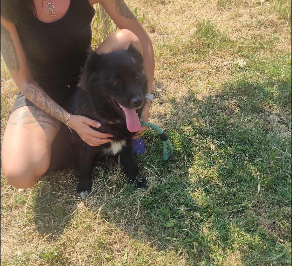 Jessie, Bild 8