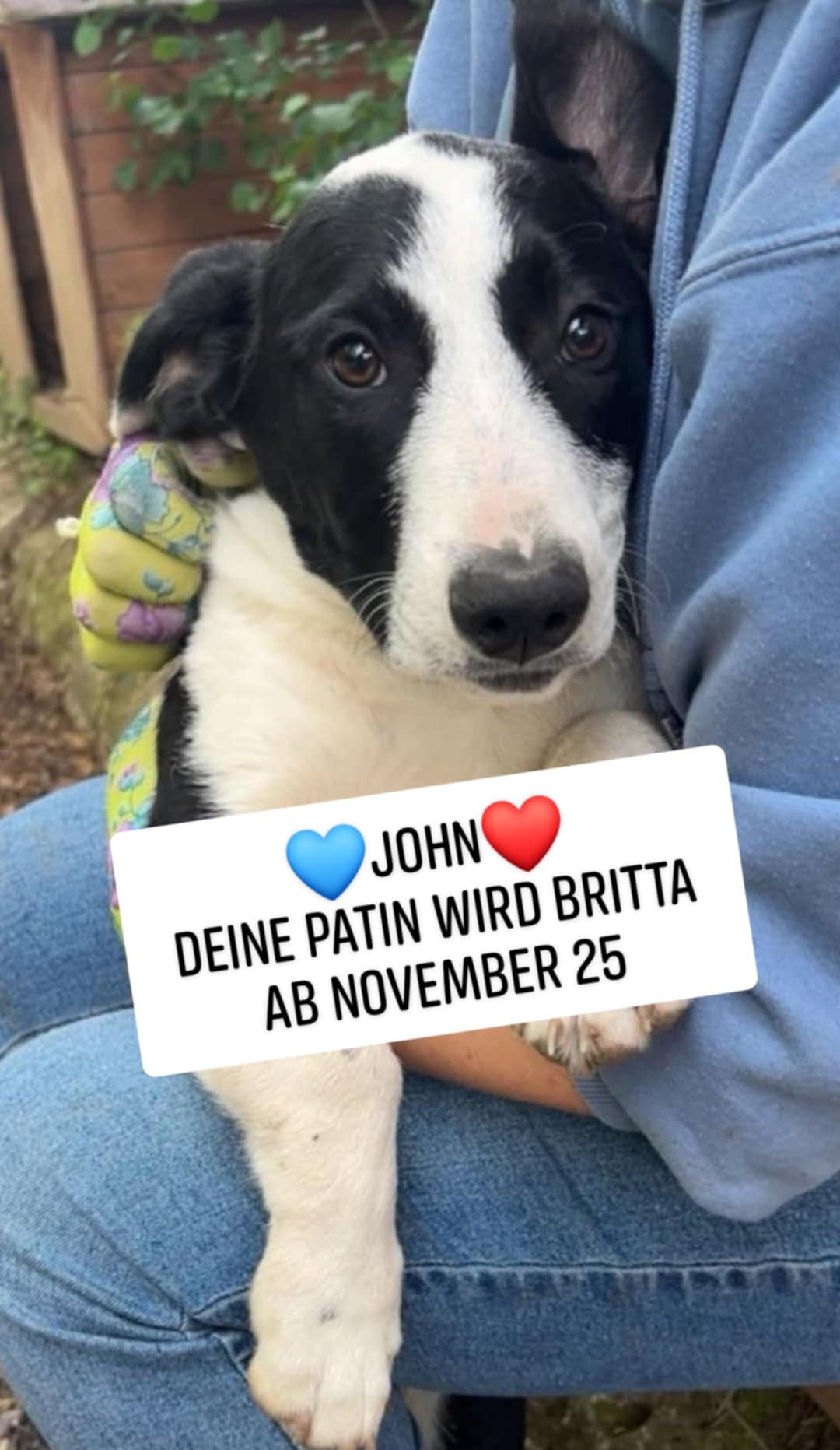 John, Bild 11