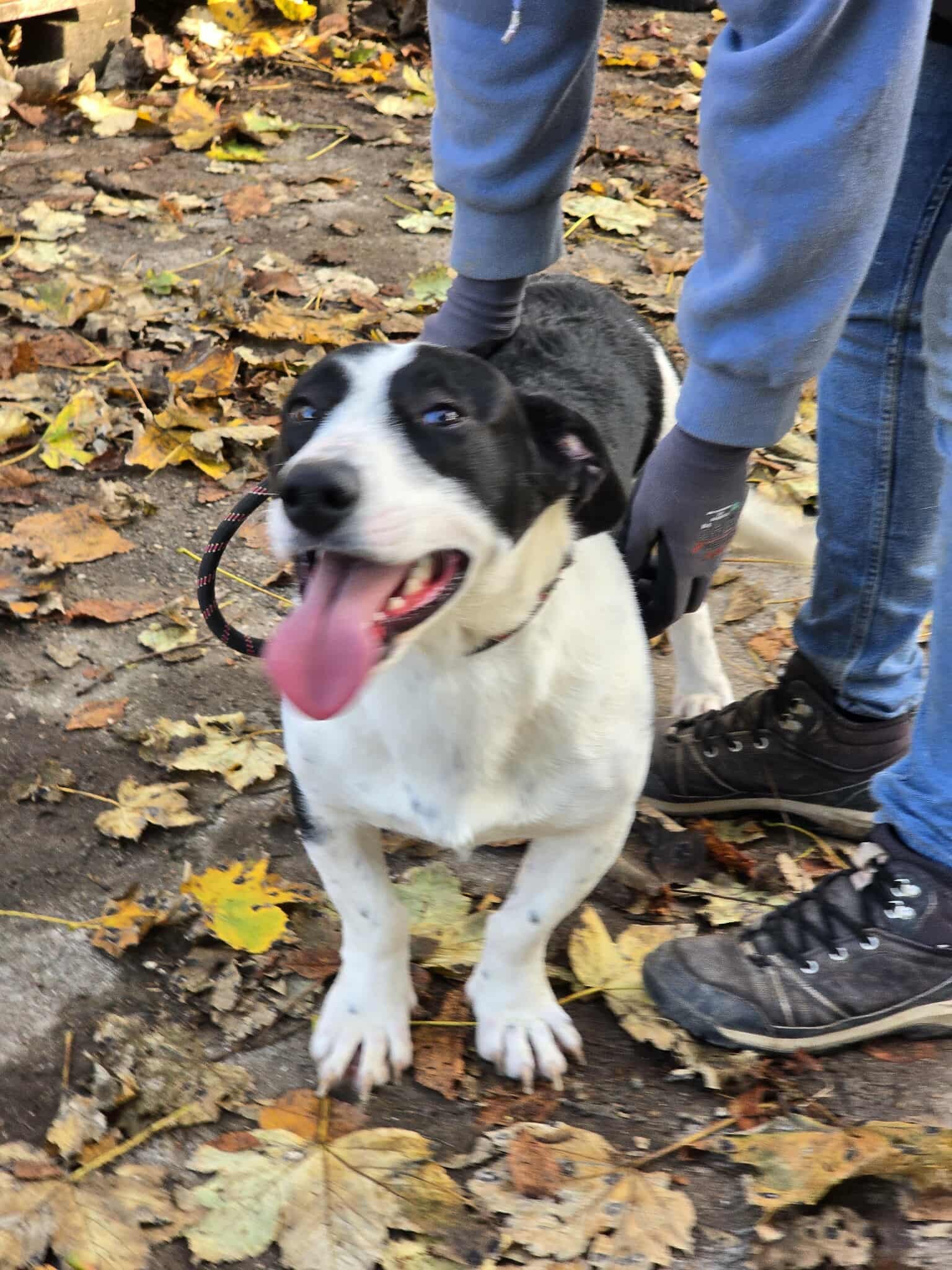 John, Bild 12