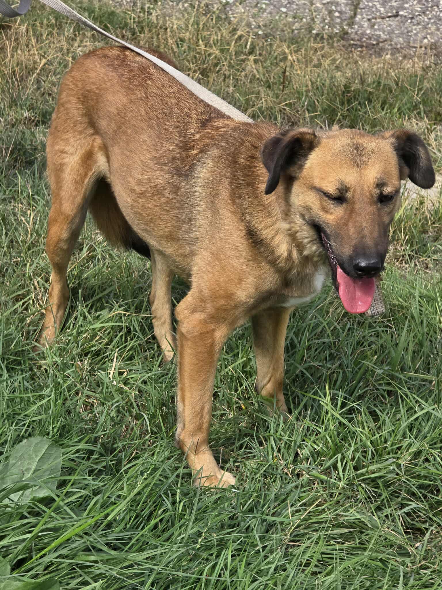 Kaya, Bild 11