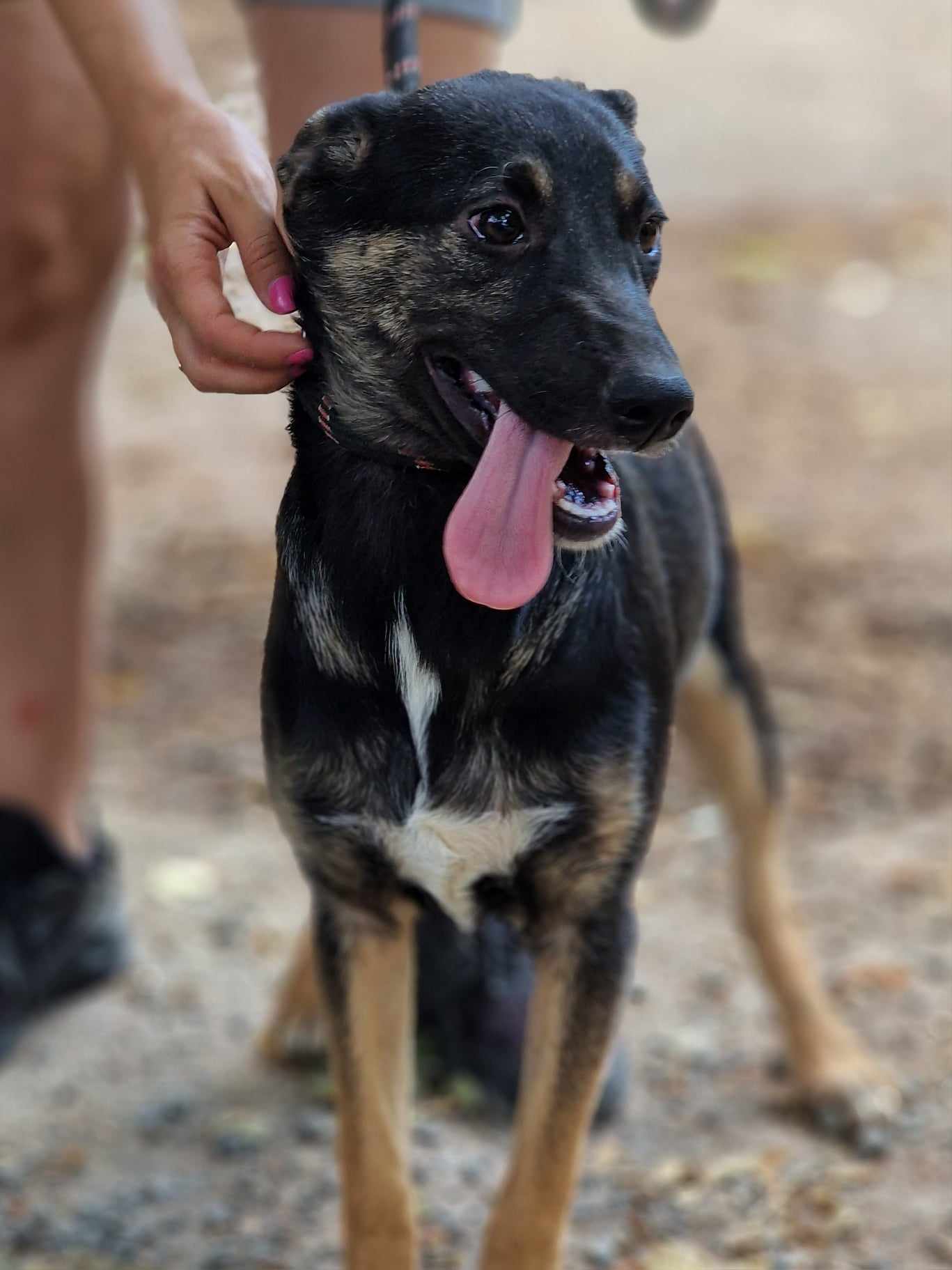 Kira, Bild 2