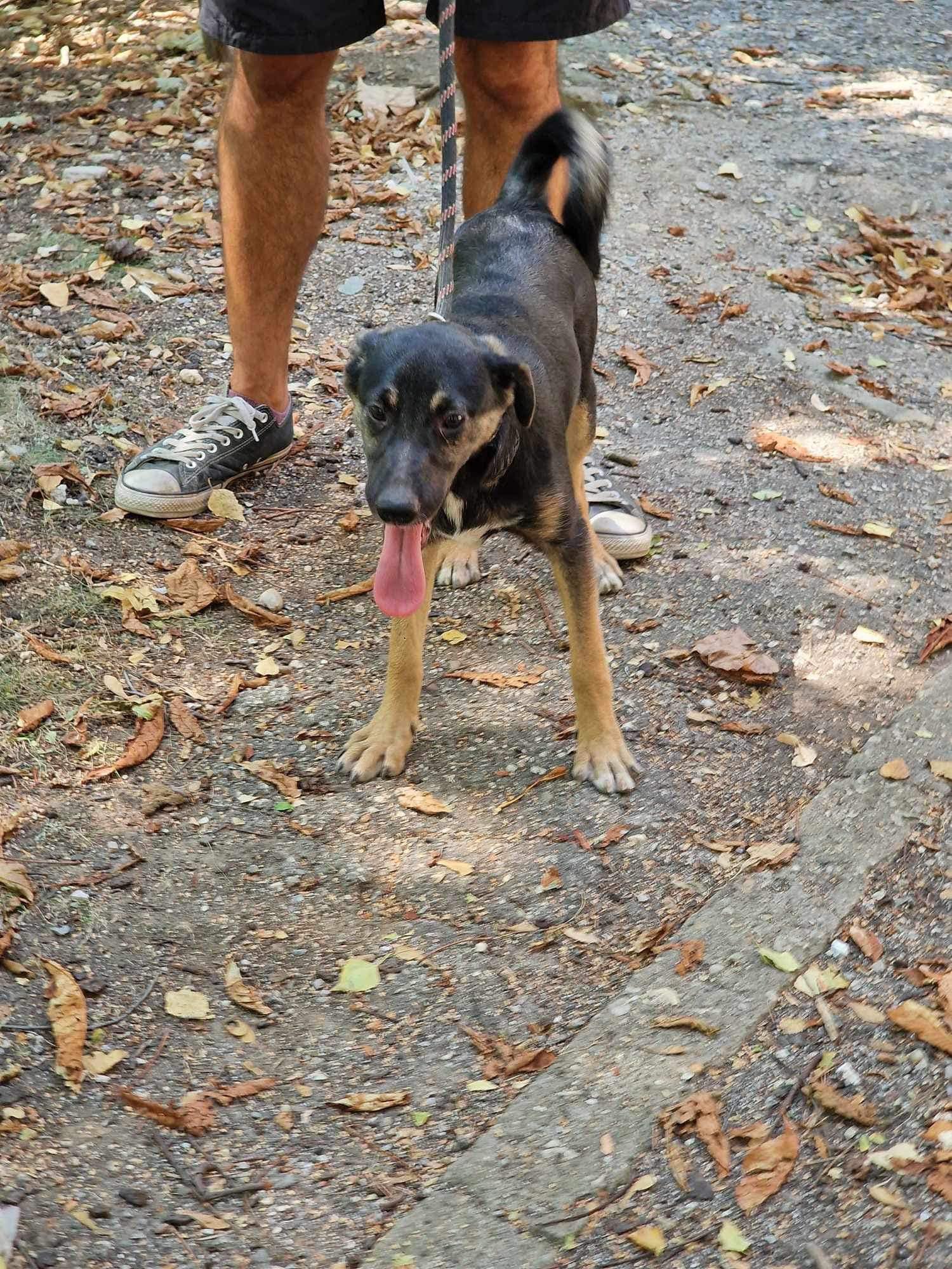 Kira, Bild 11