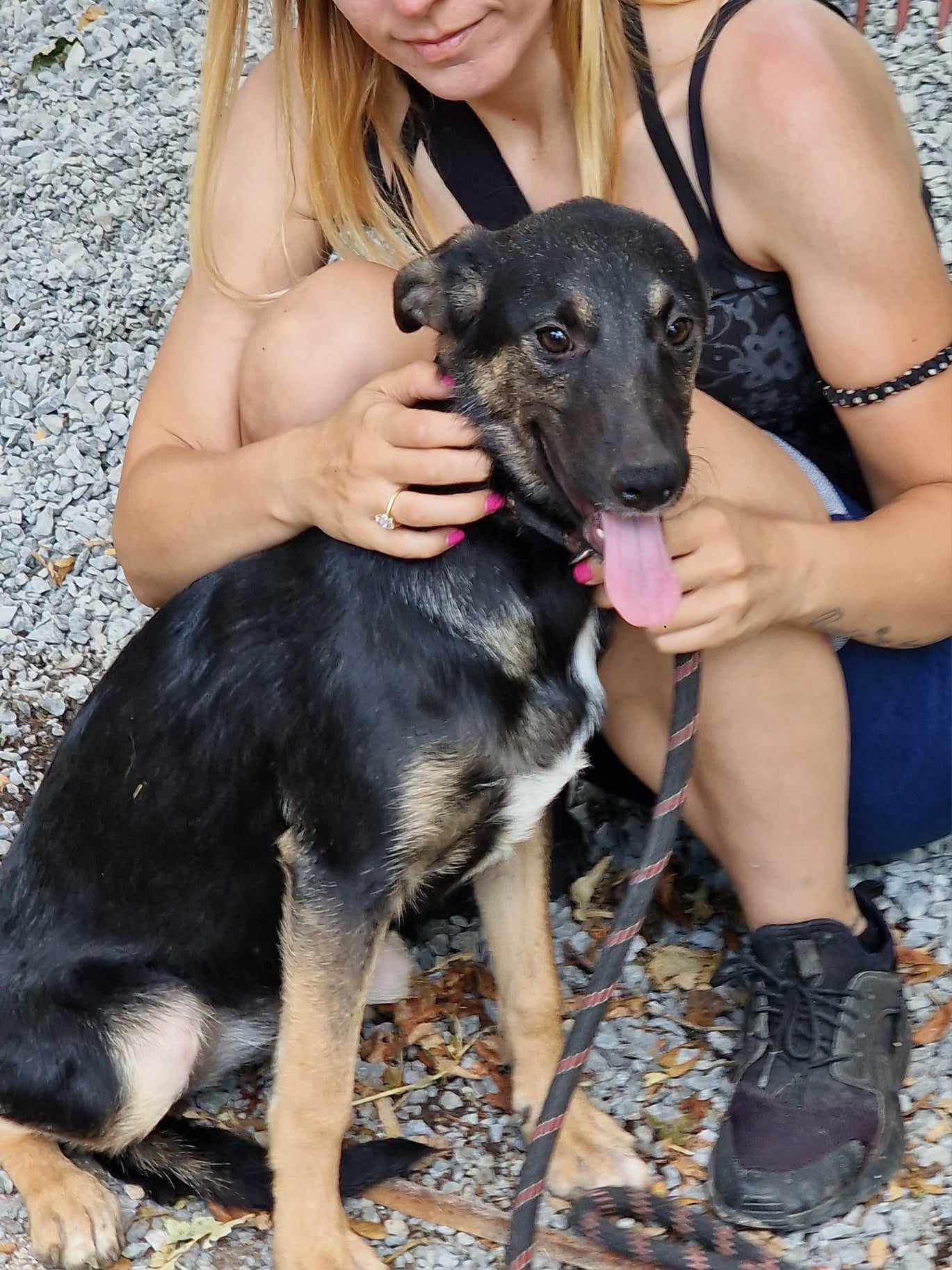 Kira, Hund