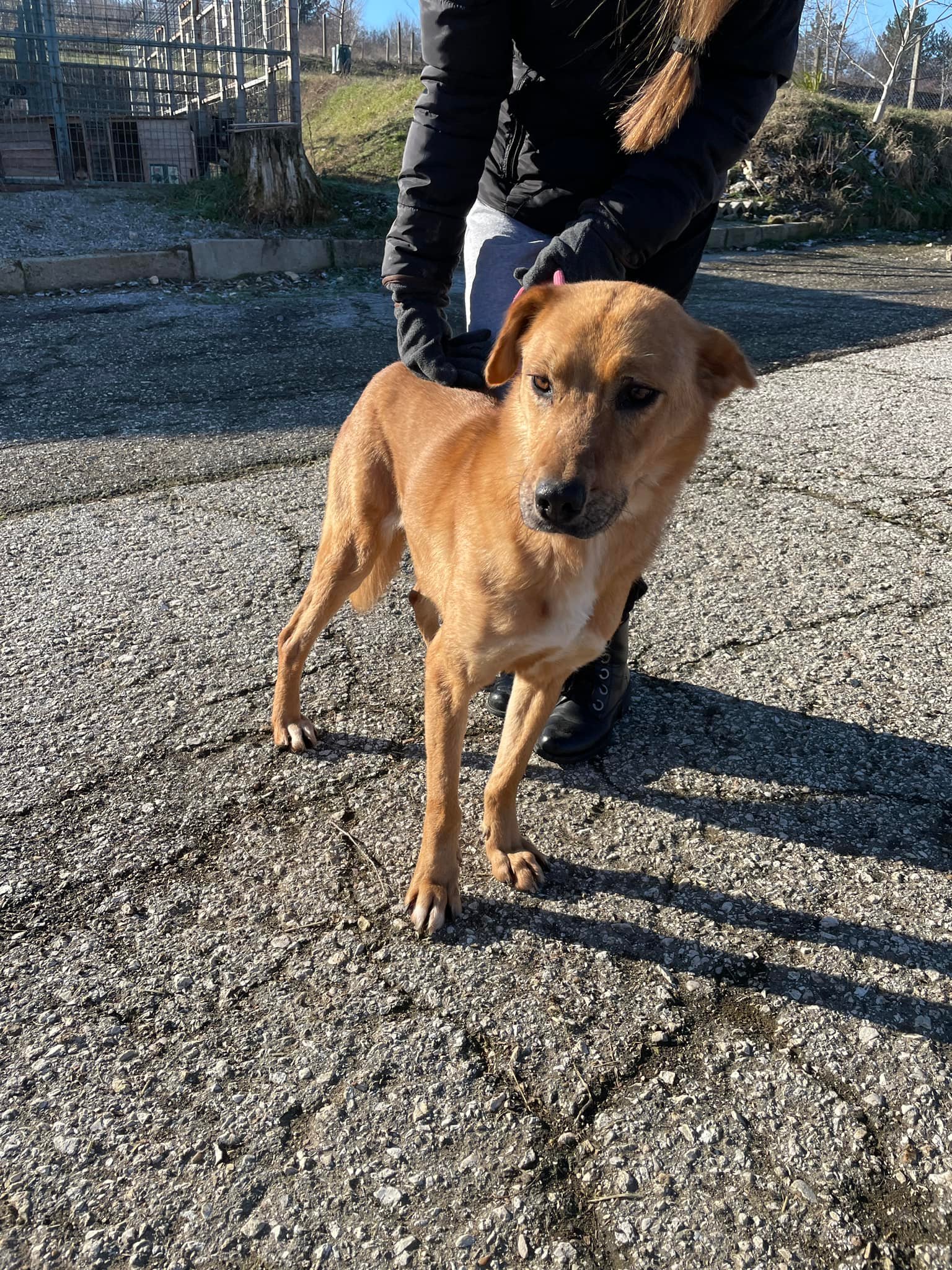 Korine, Bild 15