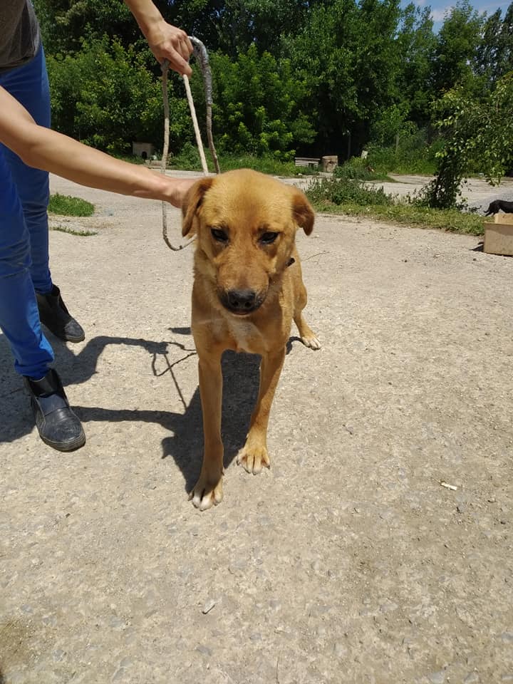 Korine, Bild 4