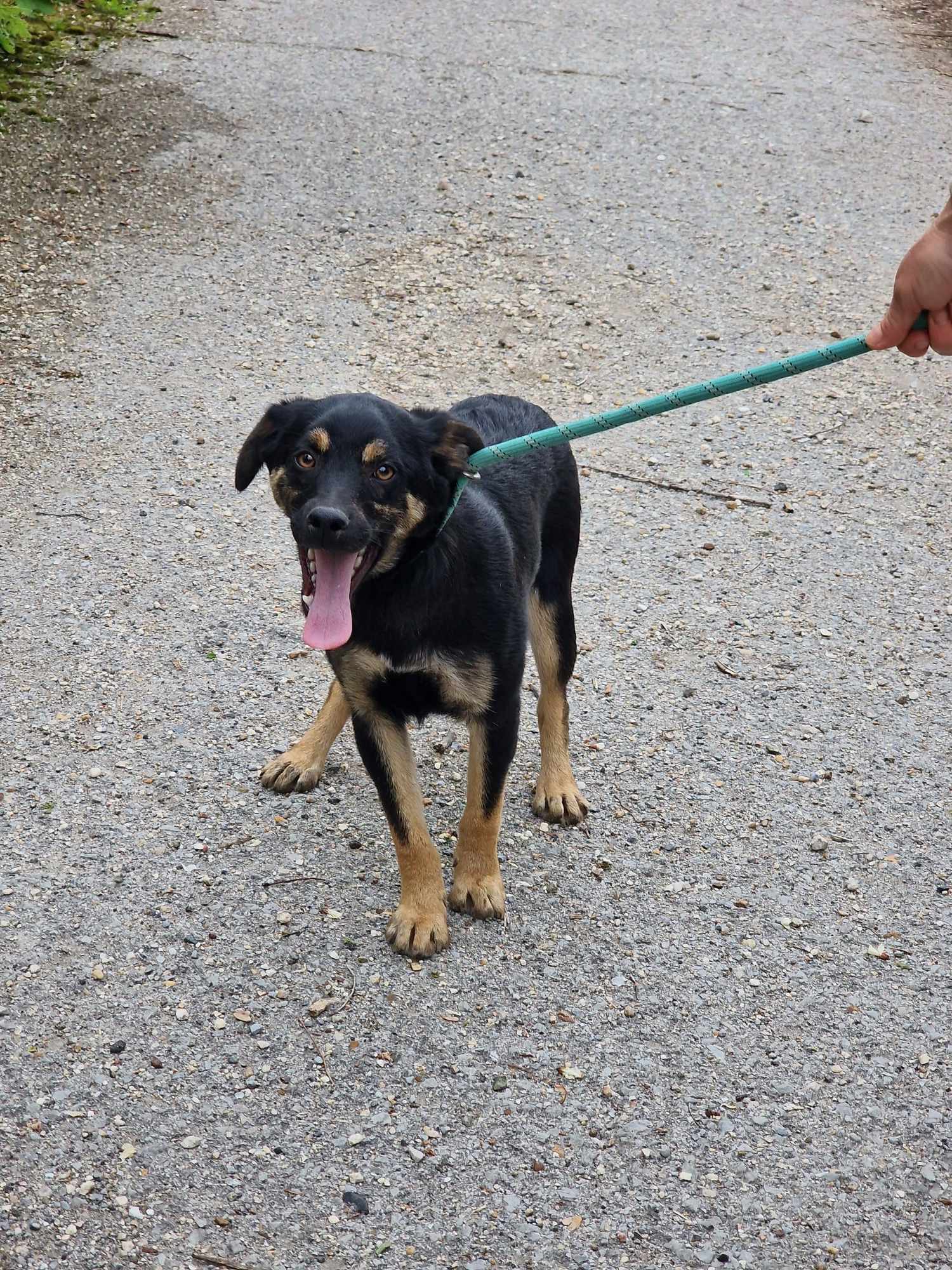 Kovu, Bild 14