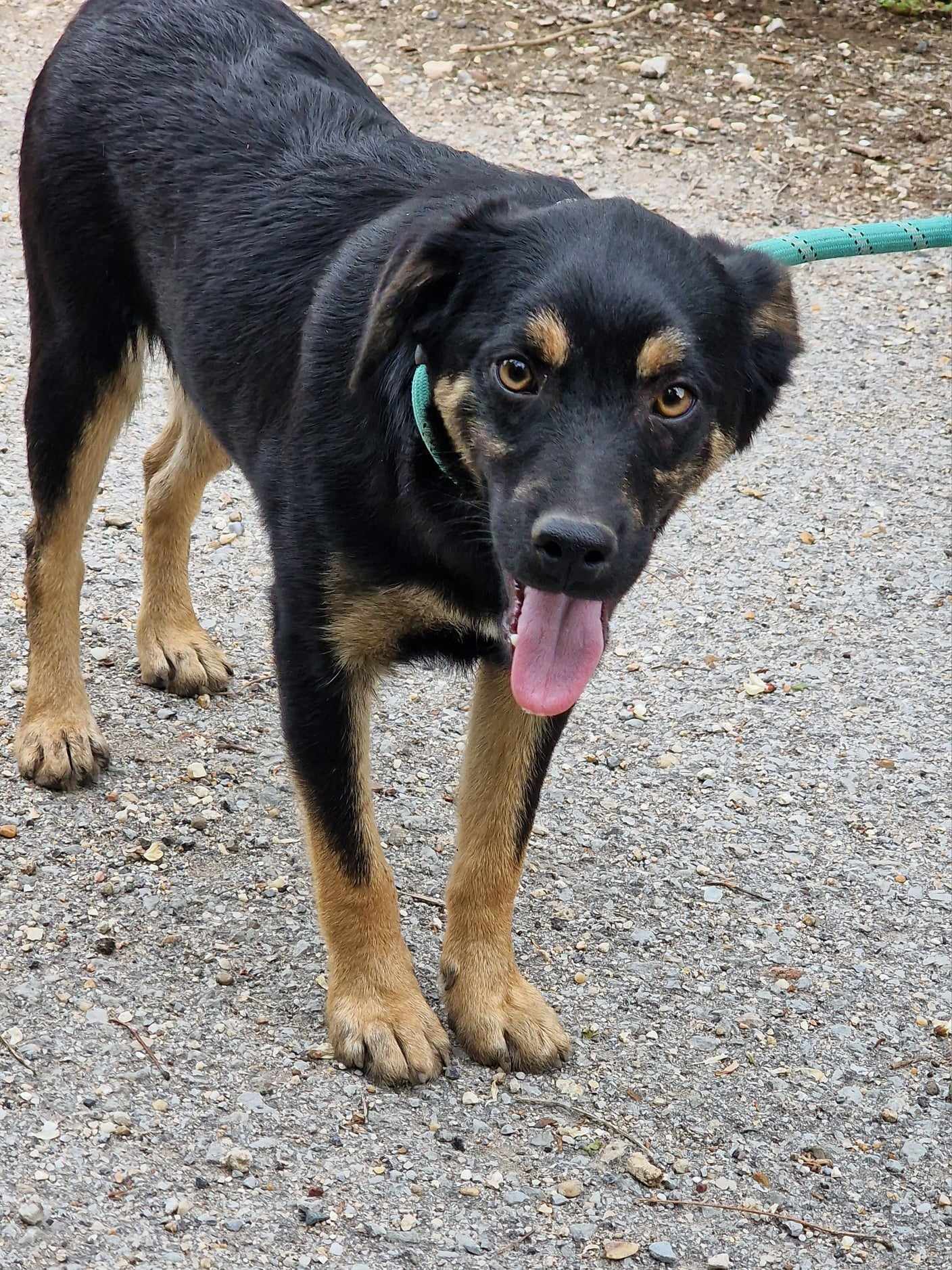 Kovu, Bild 16