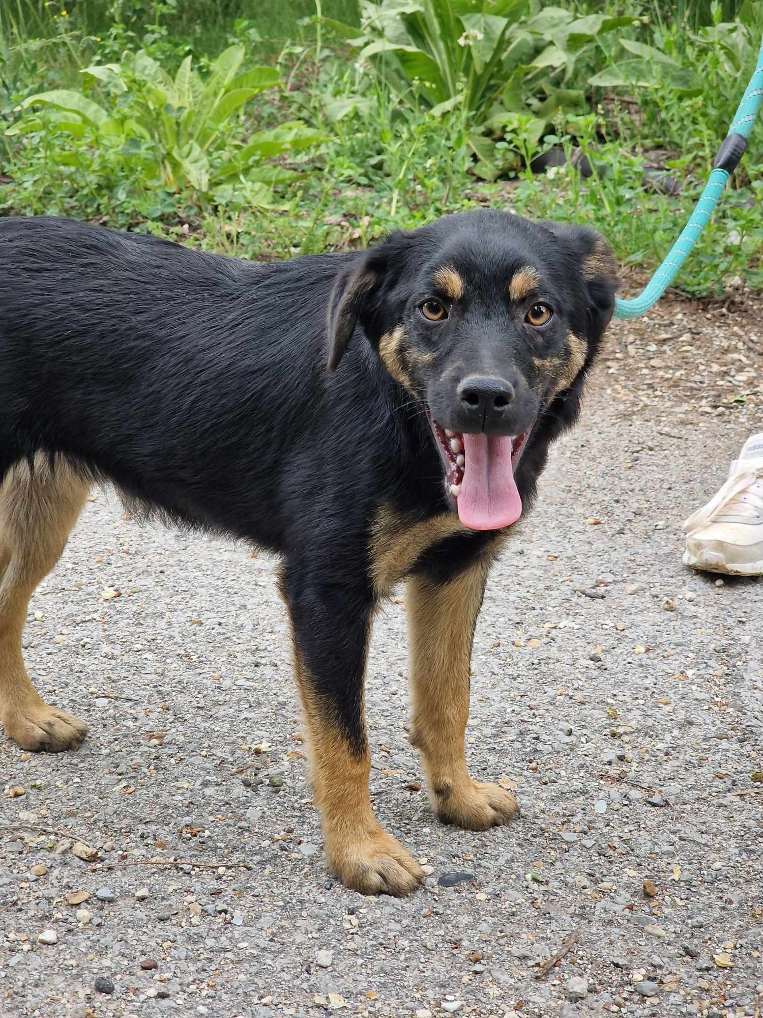 Kovu, Bild 17