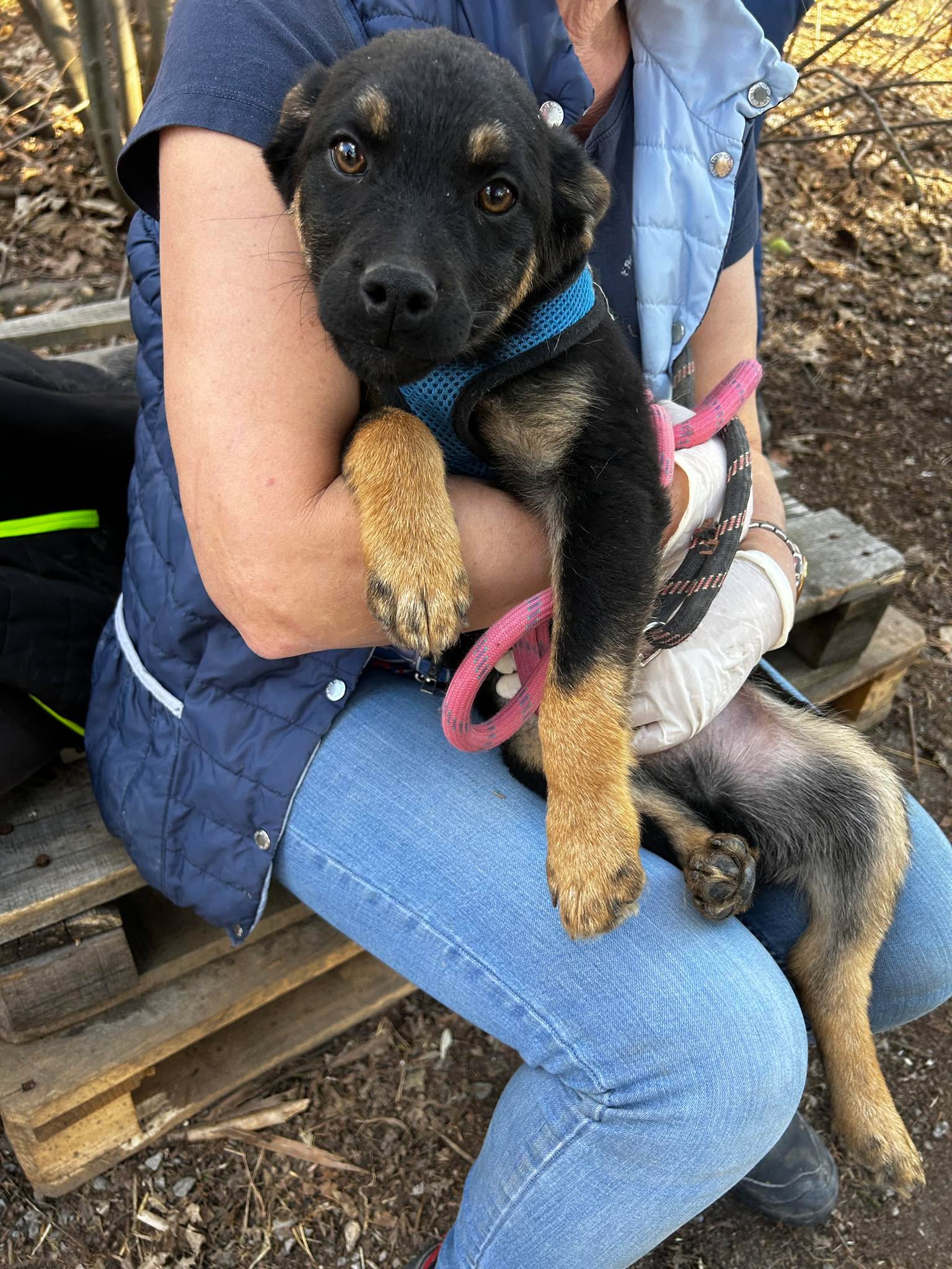 Kovu, Bild 3