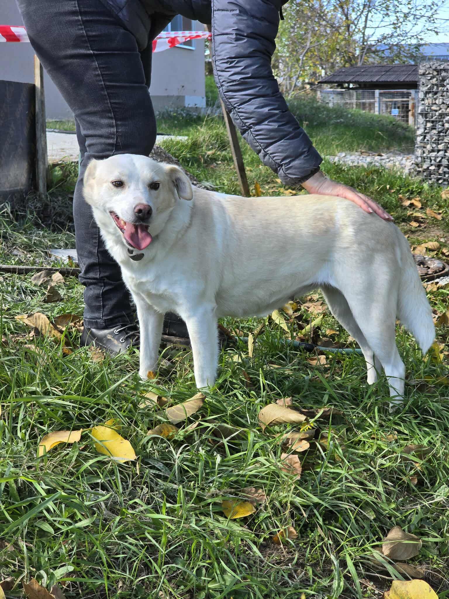 Laura, Bild 23