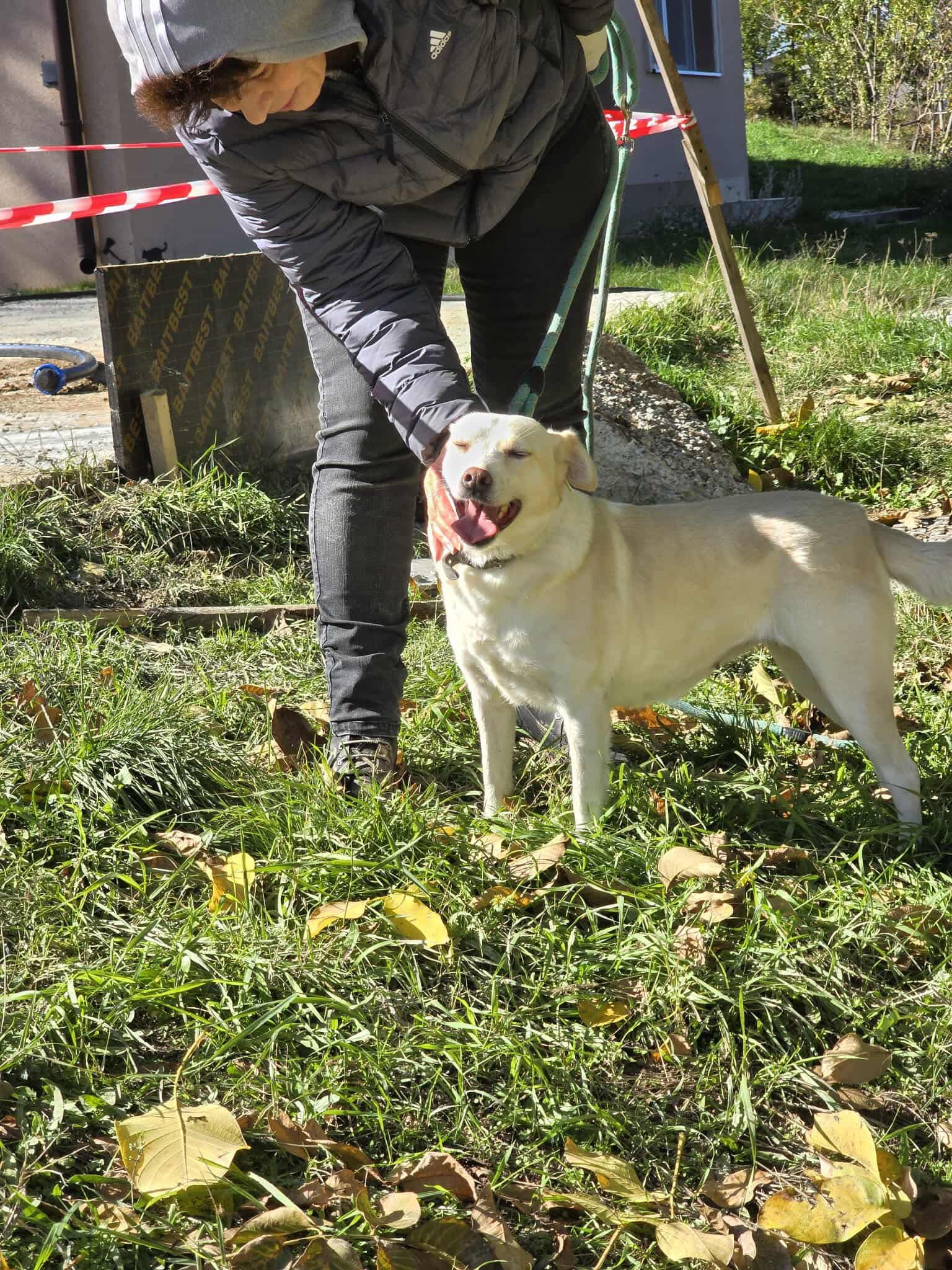 Laura, Bild 25