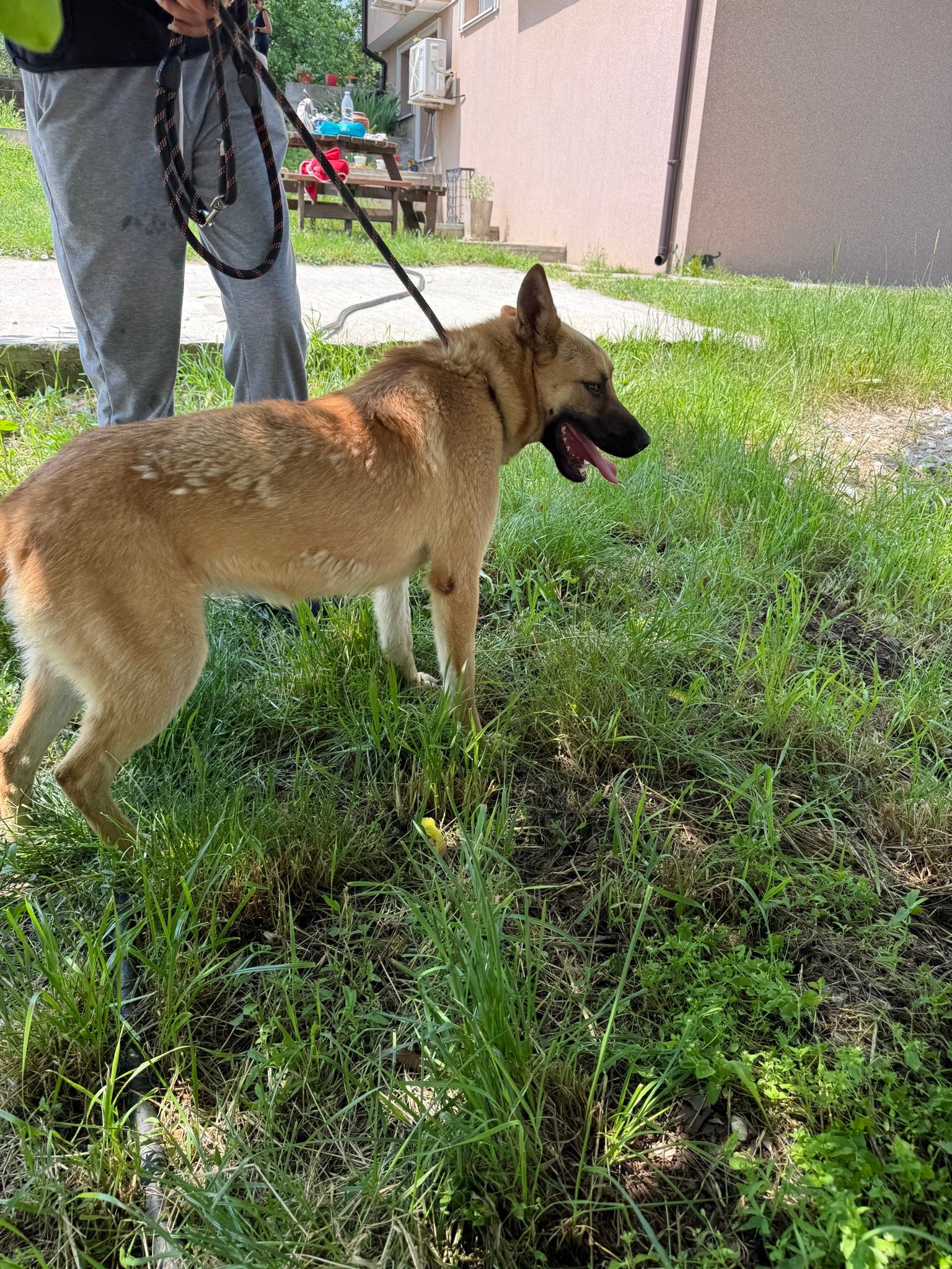 Lexa, Bild 8