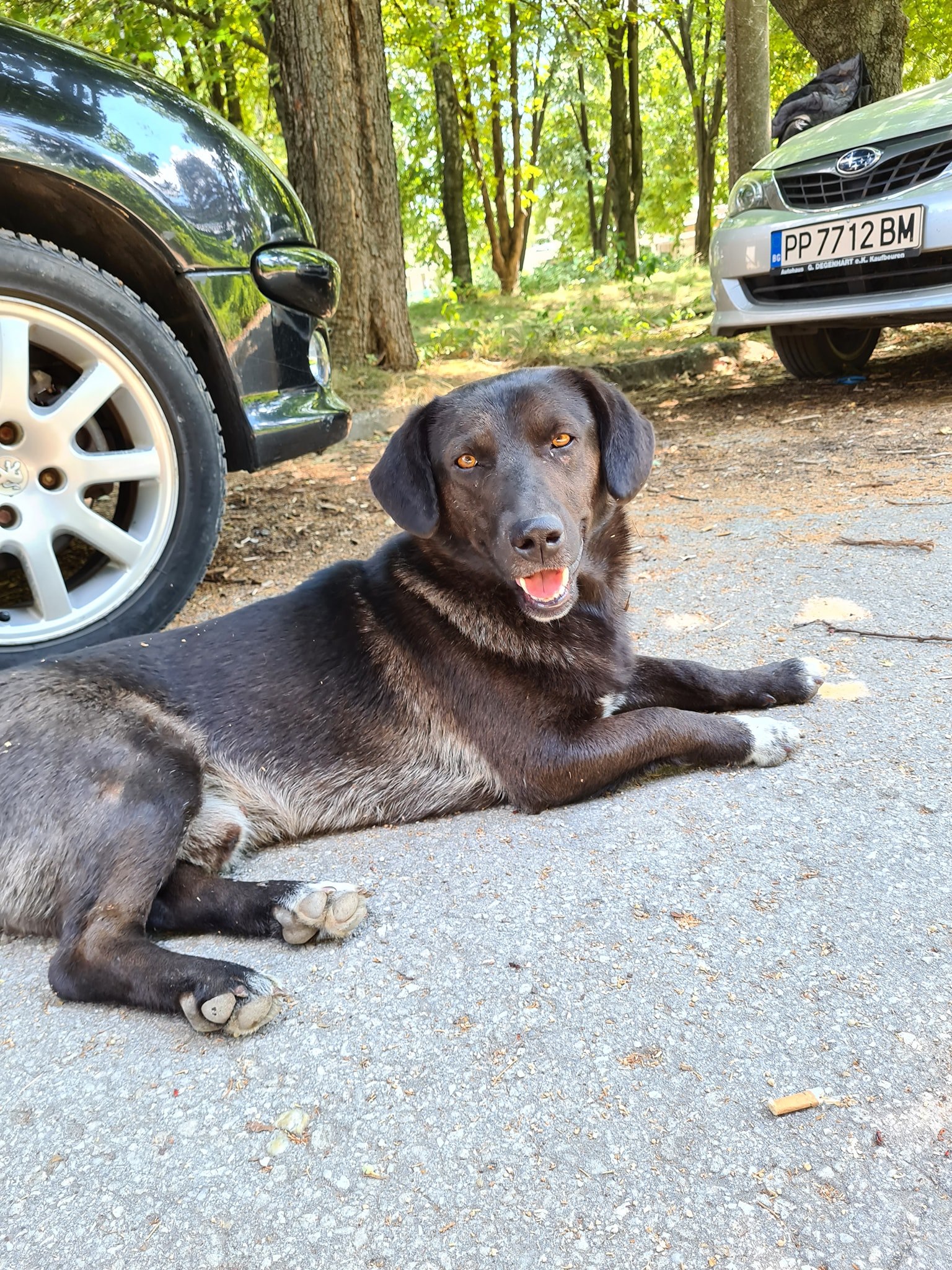Lexus, Bild 2
