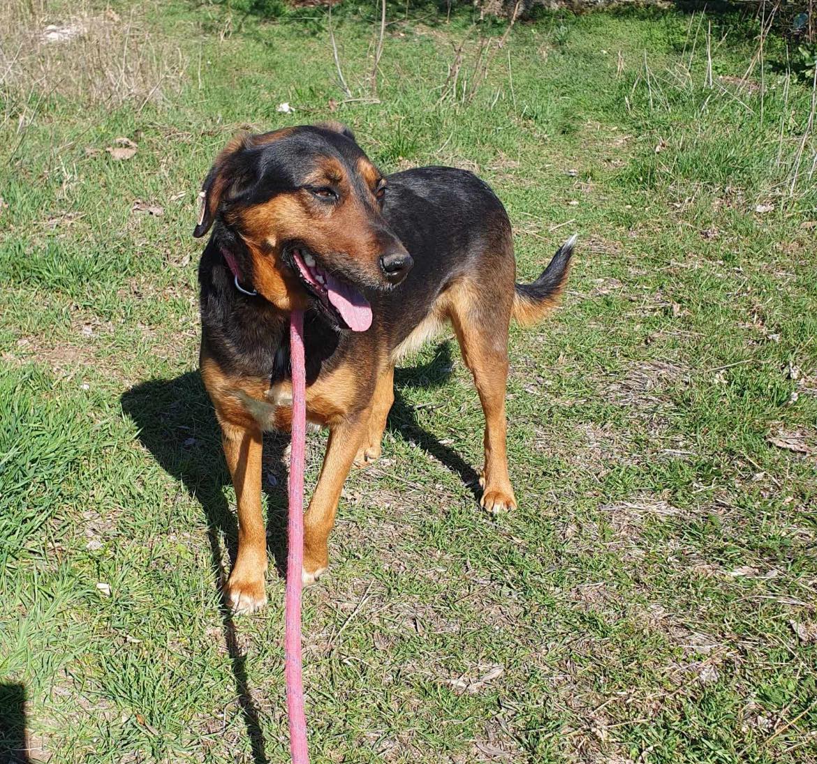 Lily, Bild 3
