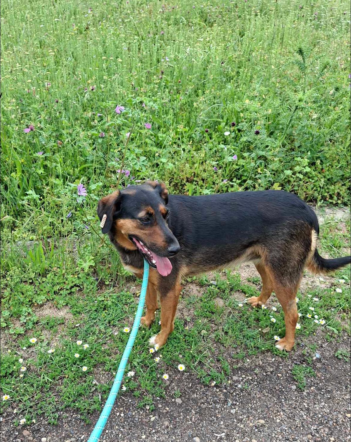 Lily, Bild 22