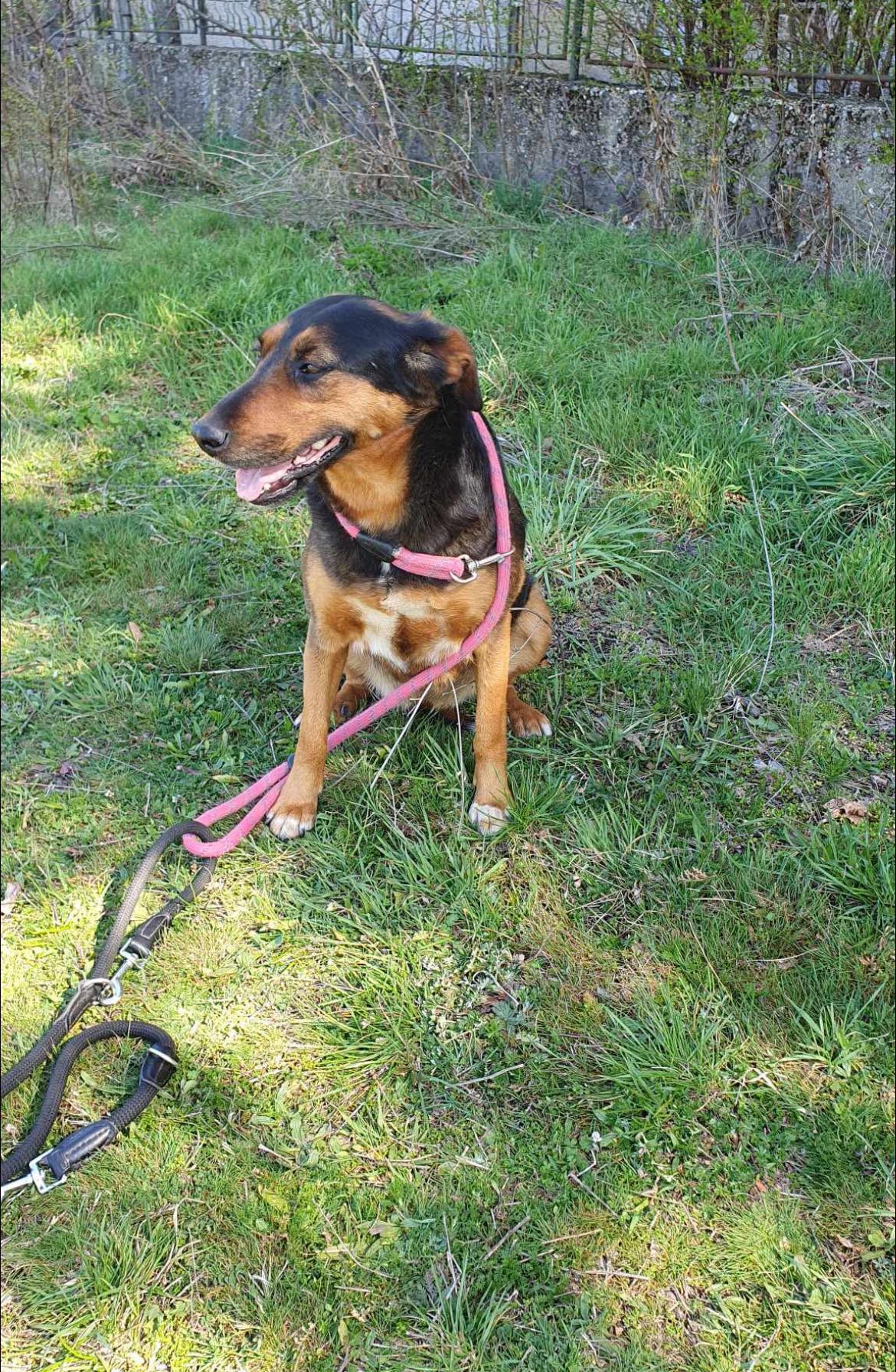 Lily, Bild 7