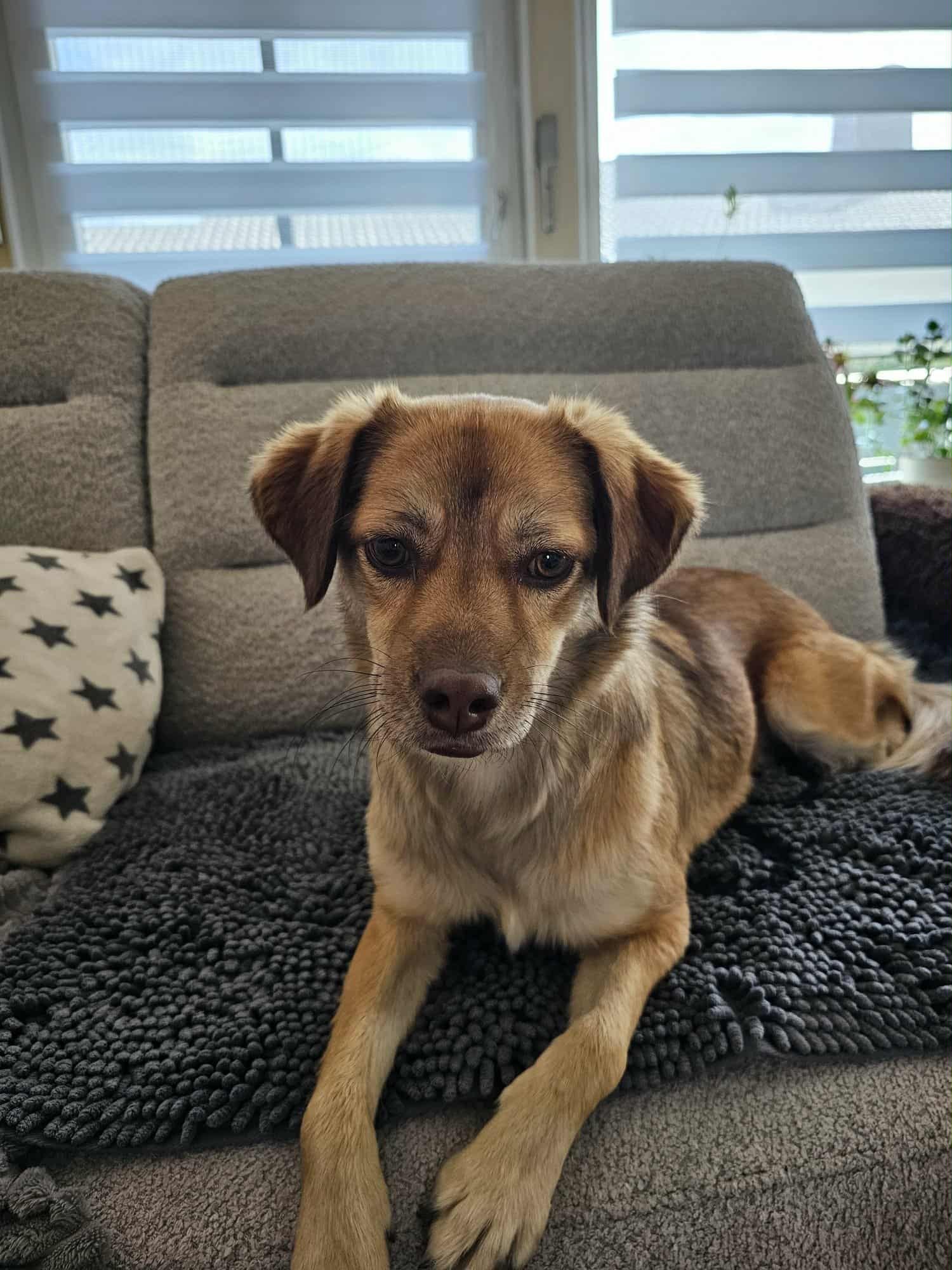 Maja (ehemals Deya), Bild 2