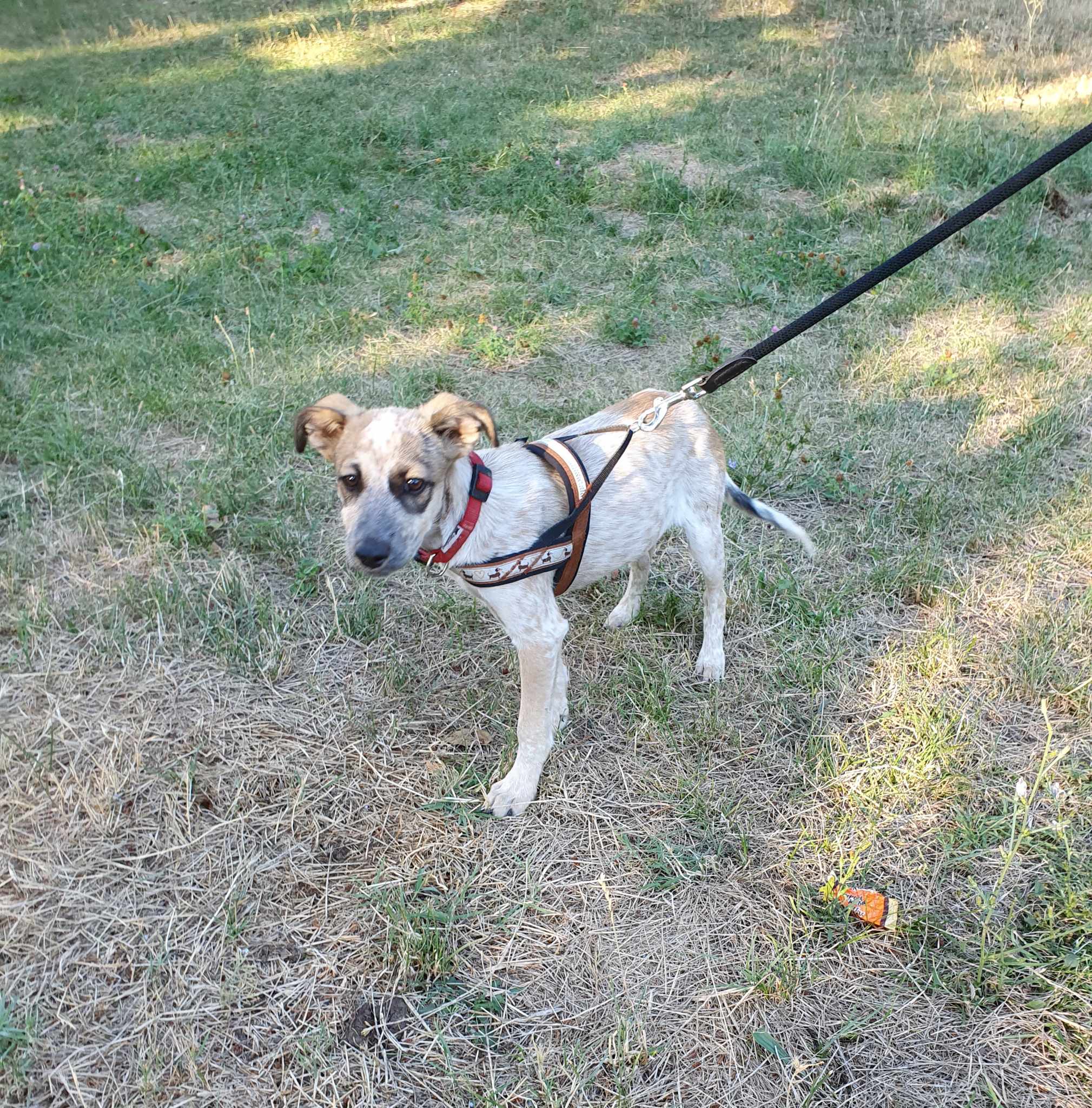 Mia, Bild 6