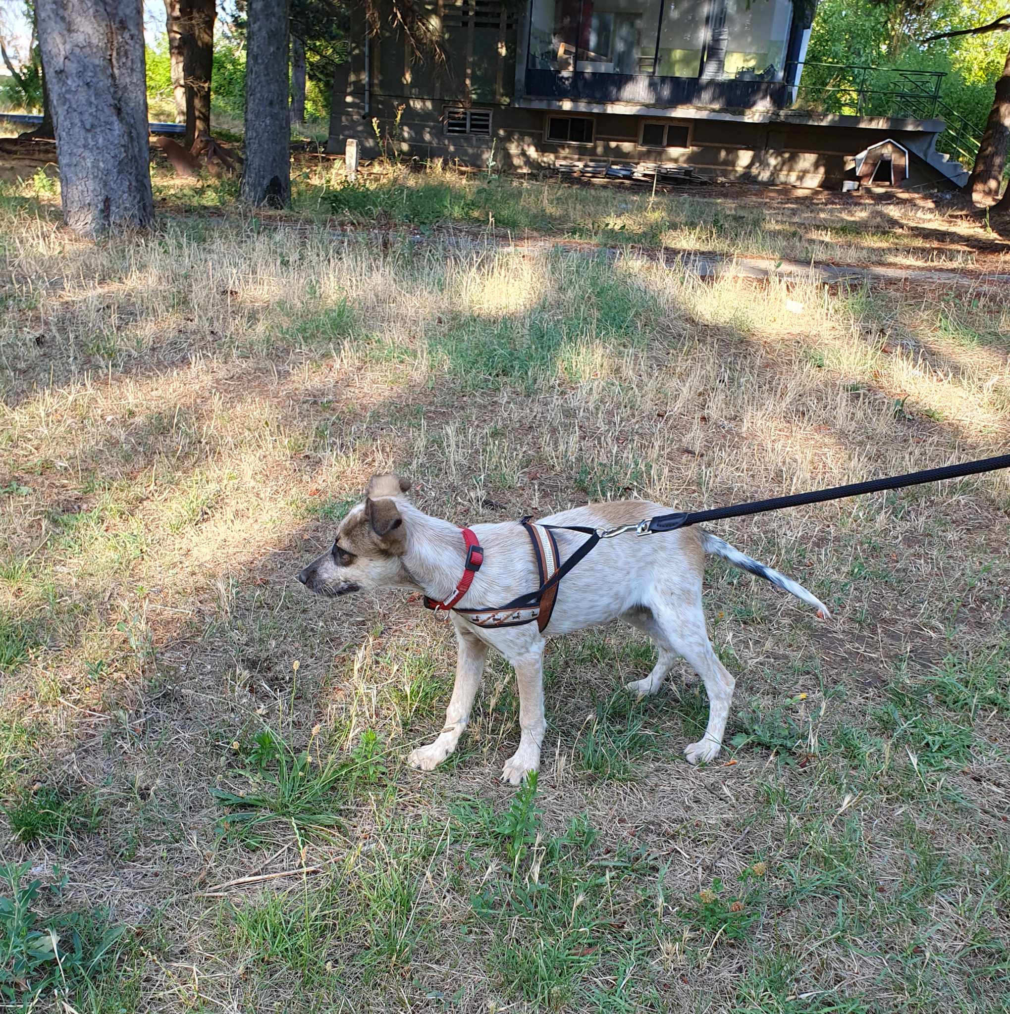 Mia, Bild 7