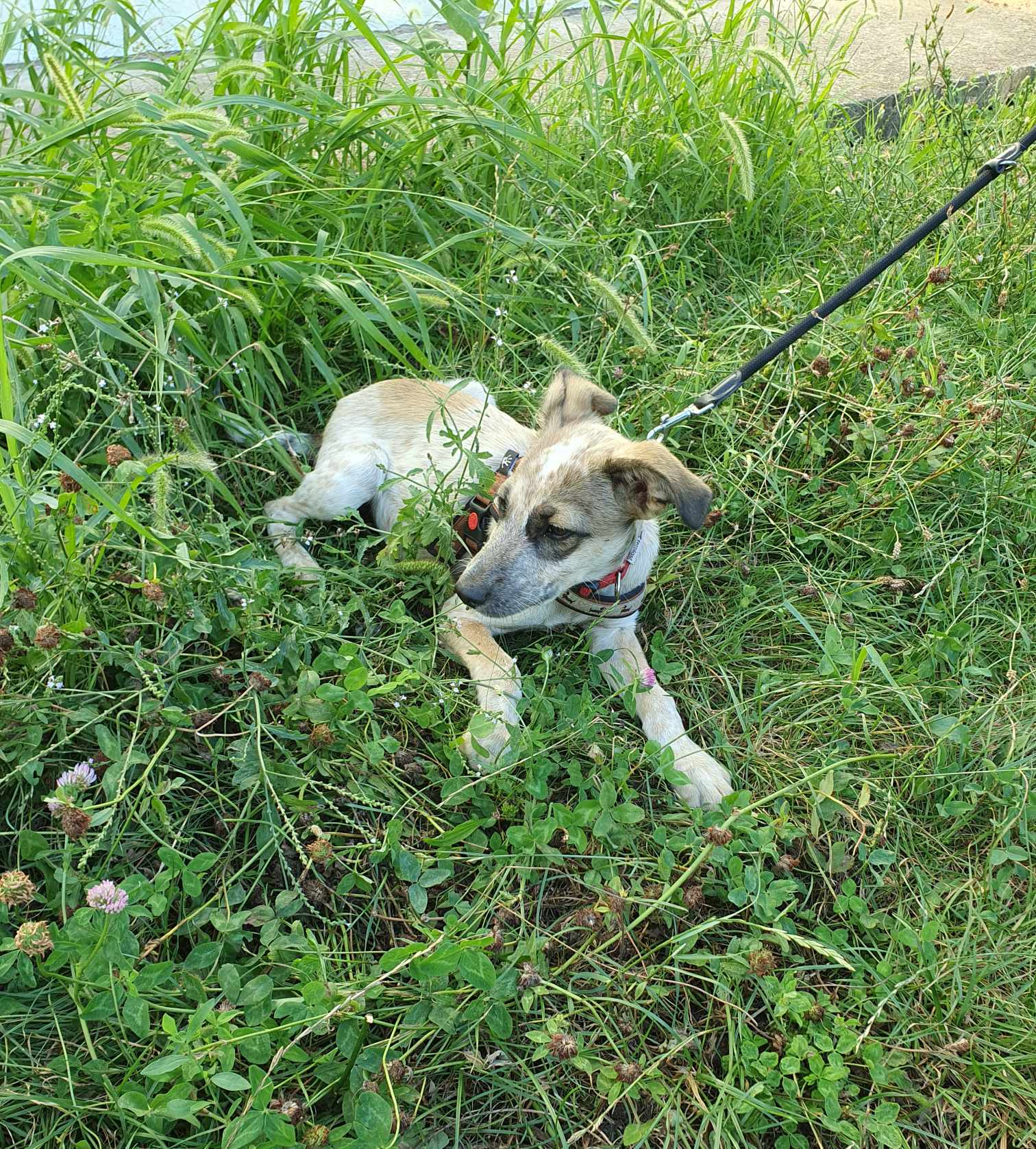 Mia, Bild 9