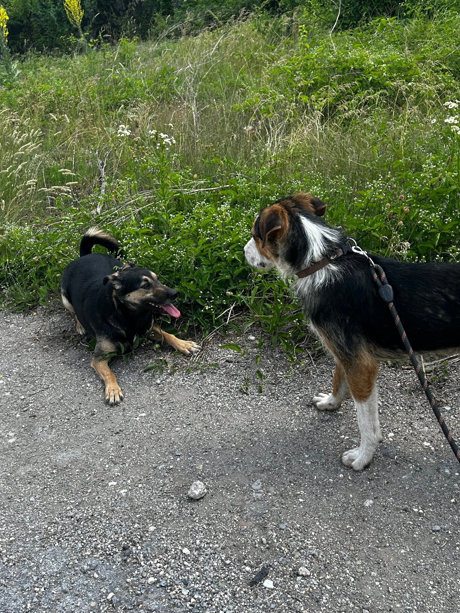 Momo &lt;3, Bild 12