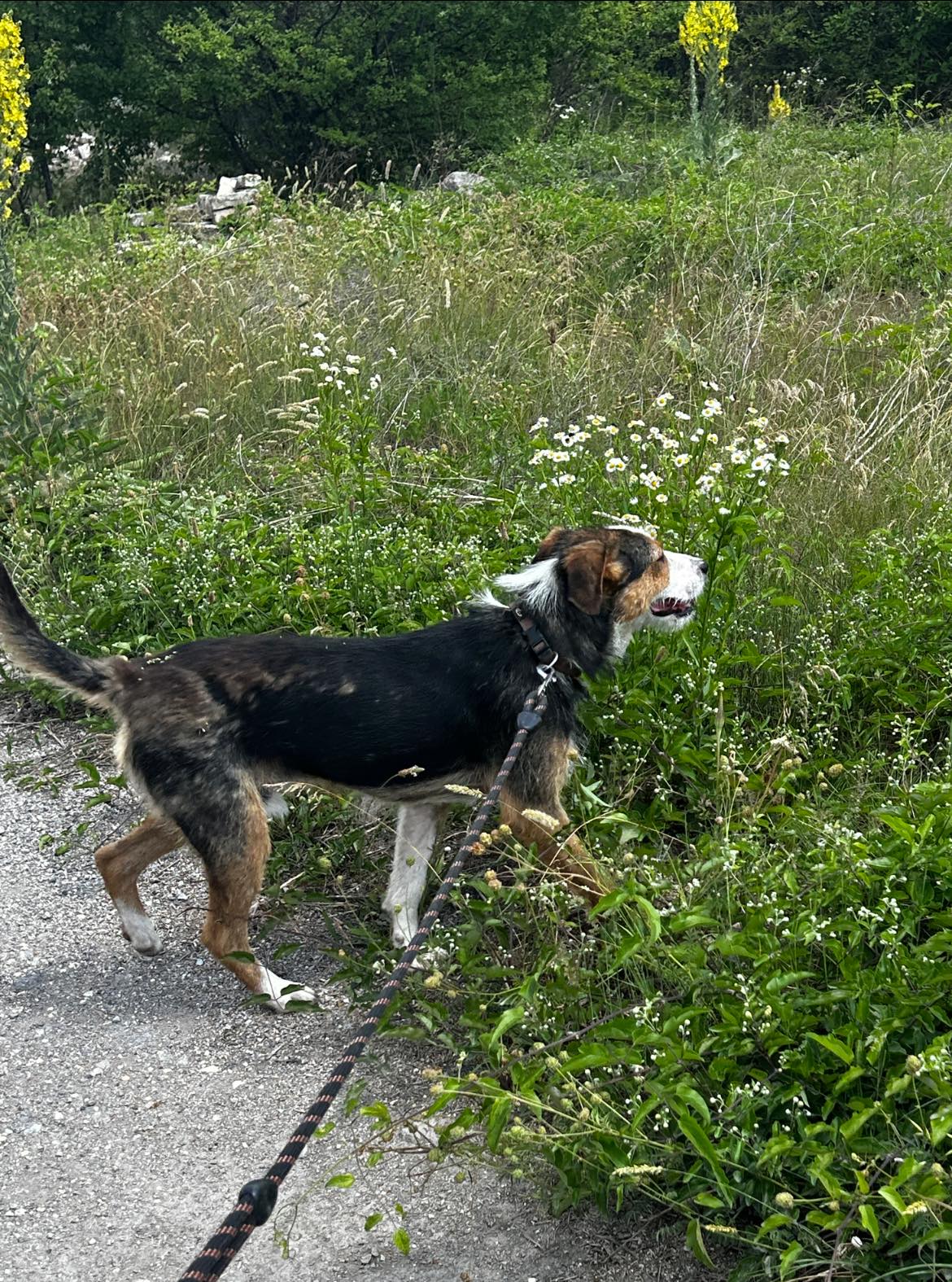 Momo &lt;3, Bild 13