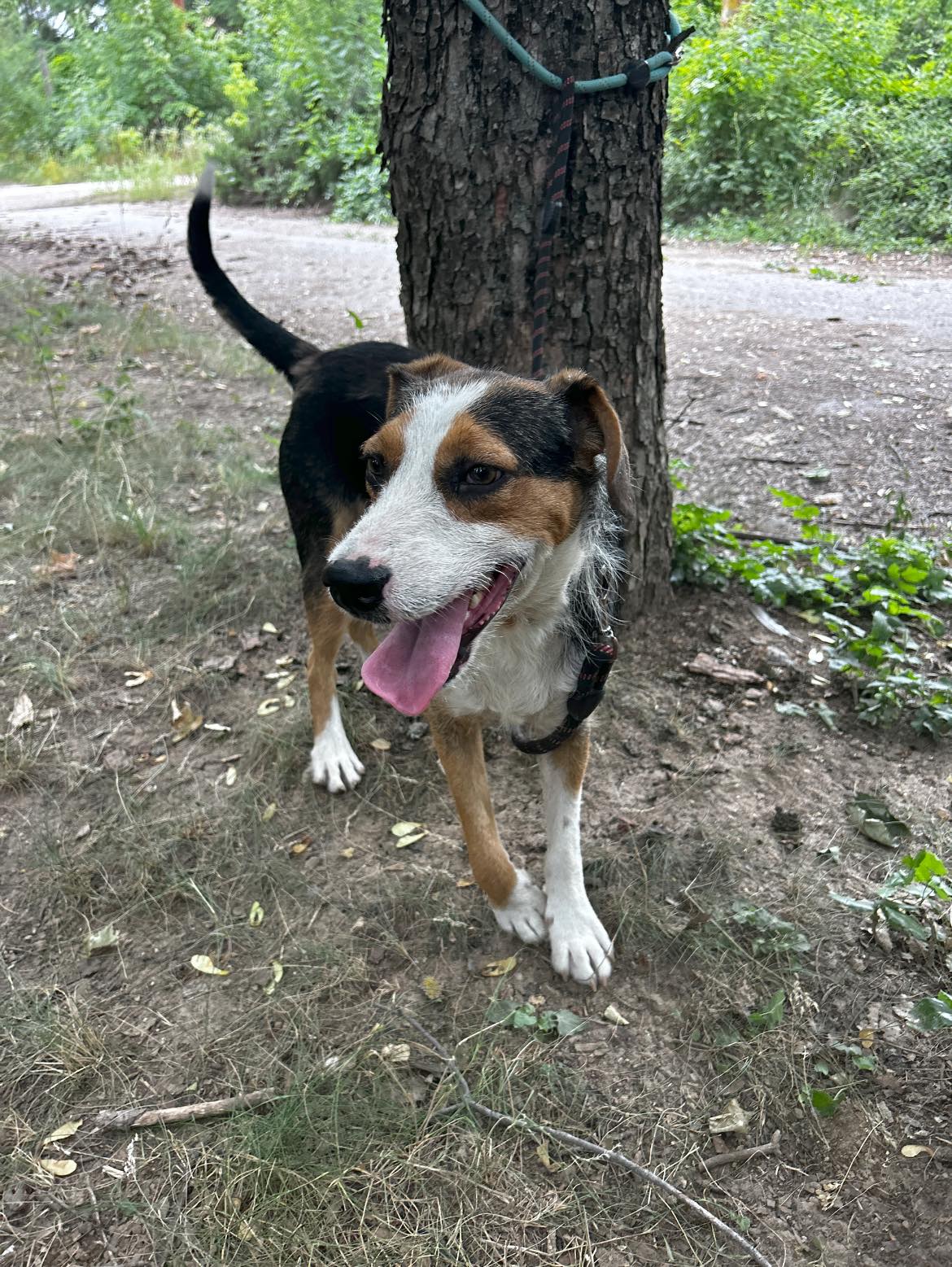 Momo &lt;3, Bild 20