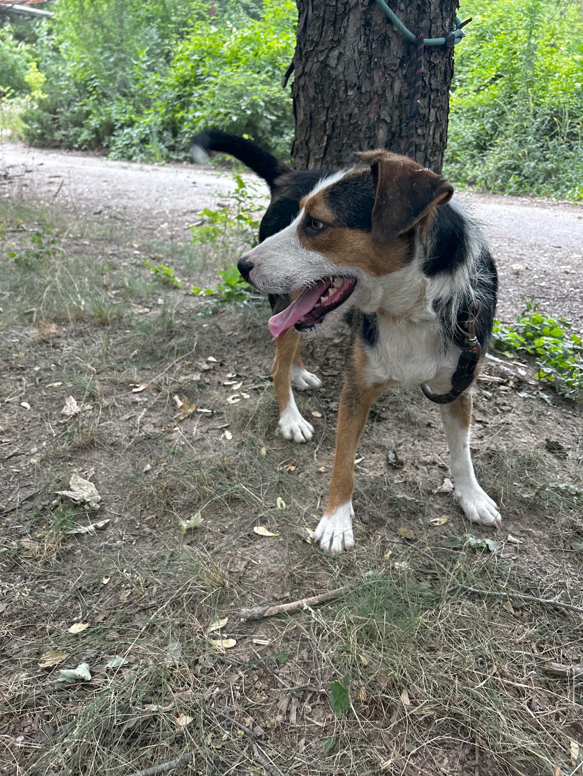 Momo &lt;3, Bild 21