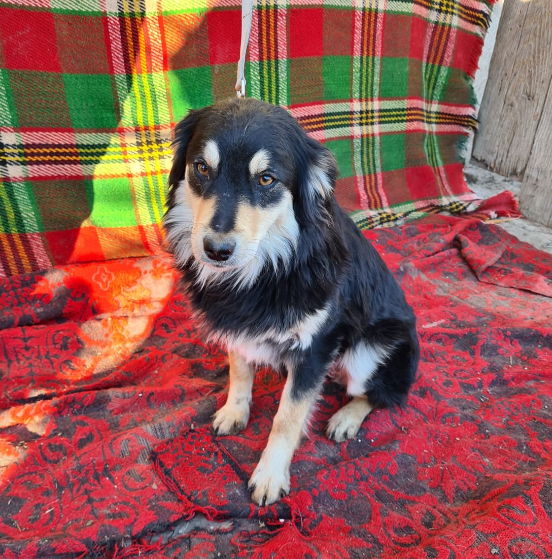 Momo, Bild 5