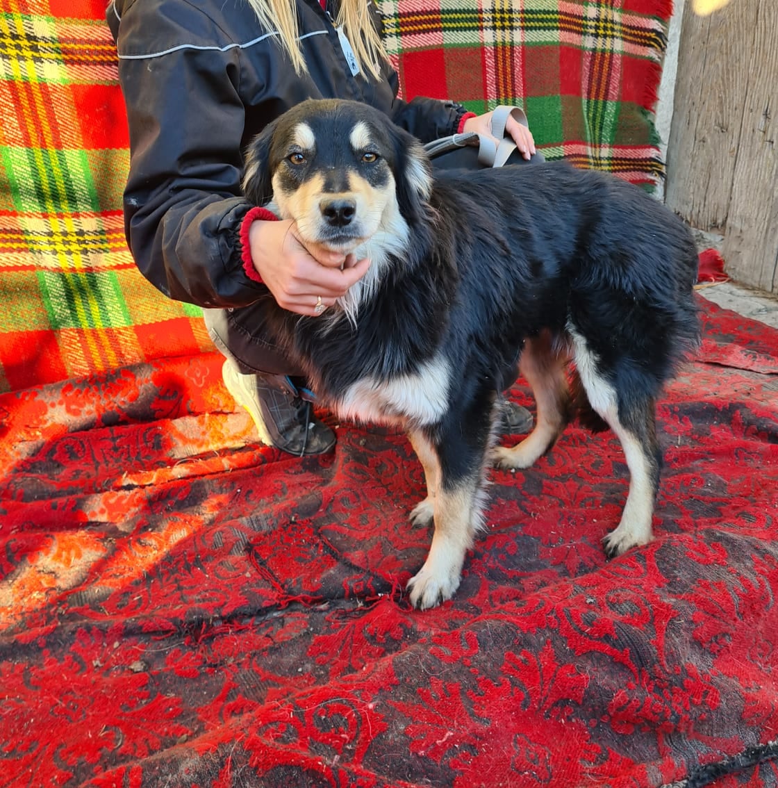 Momo, Bild 8