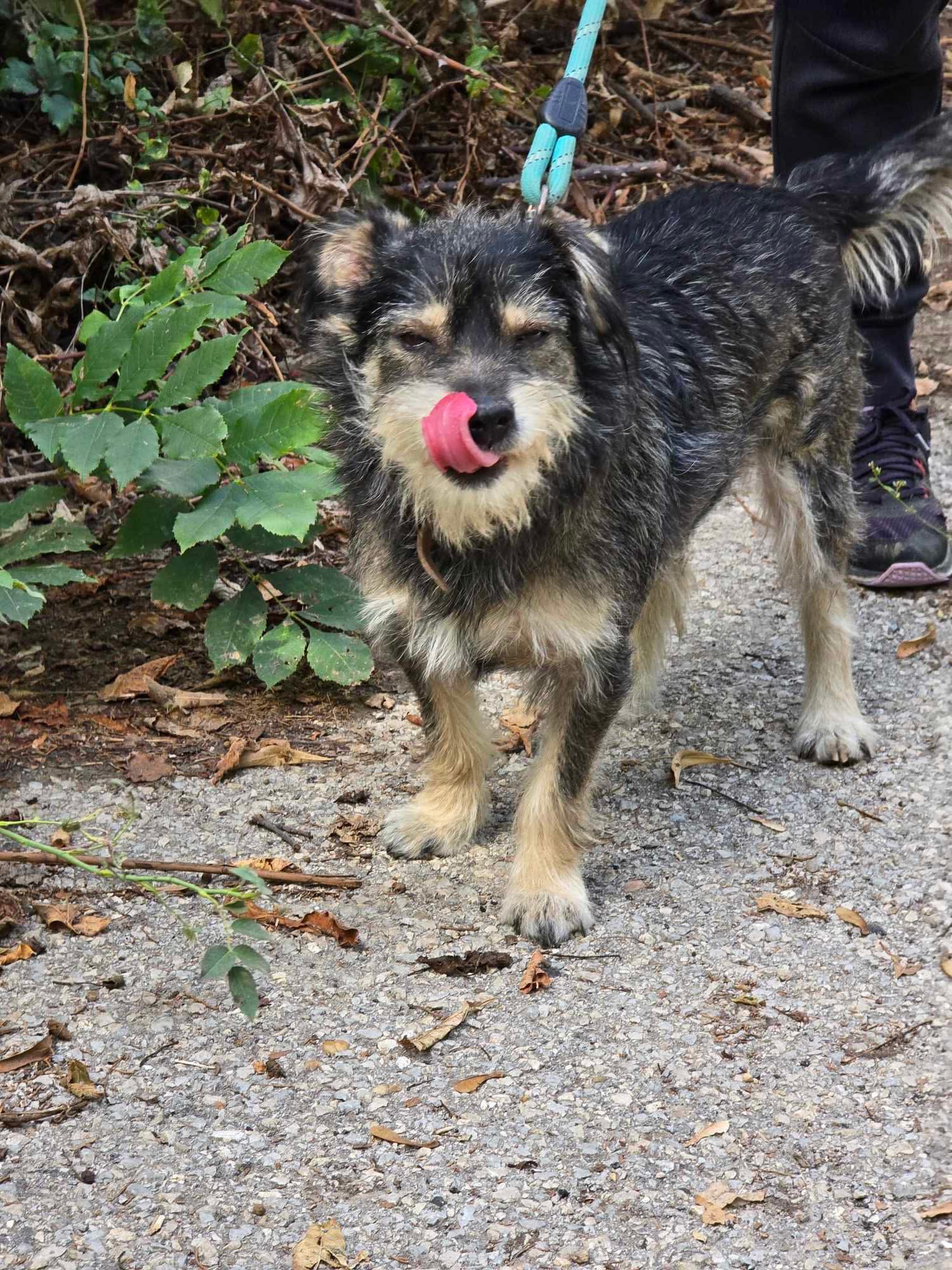 Moni, Bild 4
