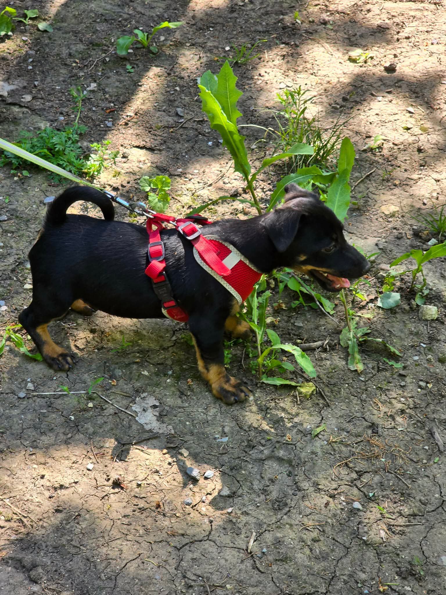 Muffy, Bild 4