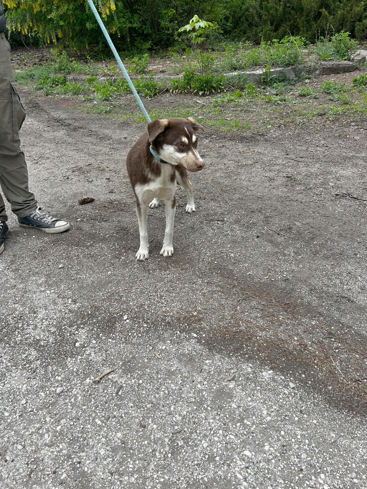 Noah, Bild 17