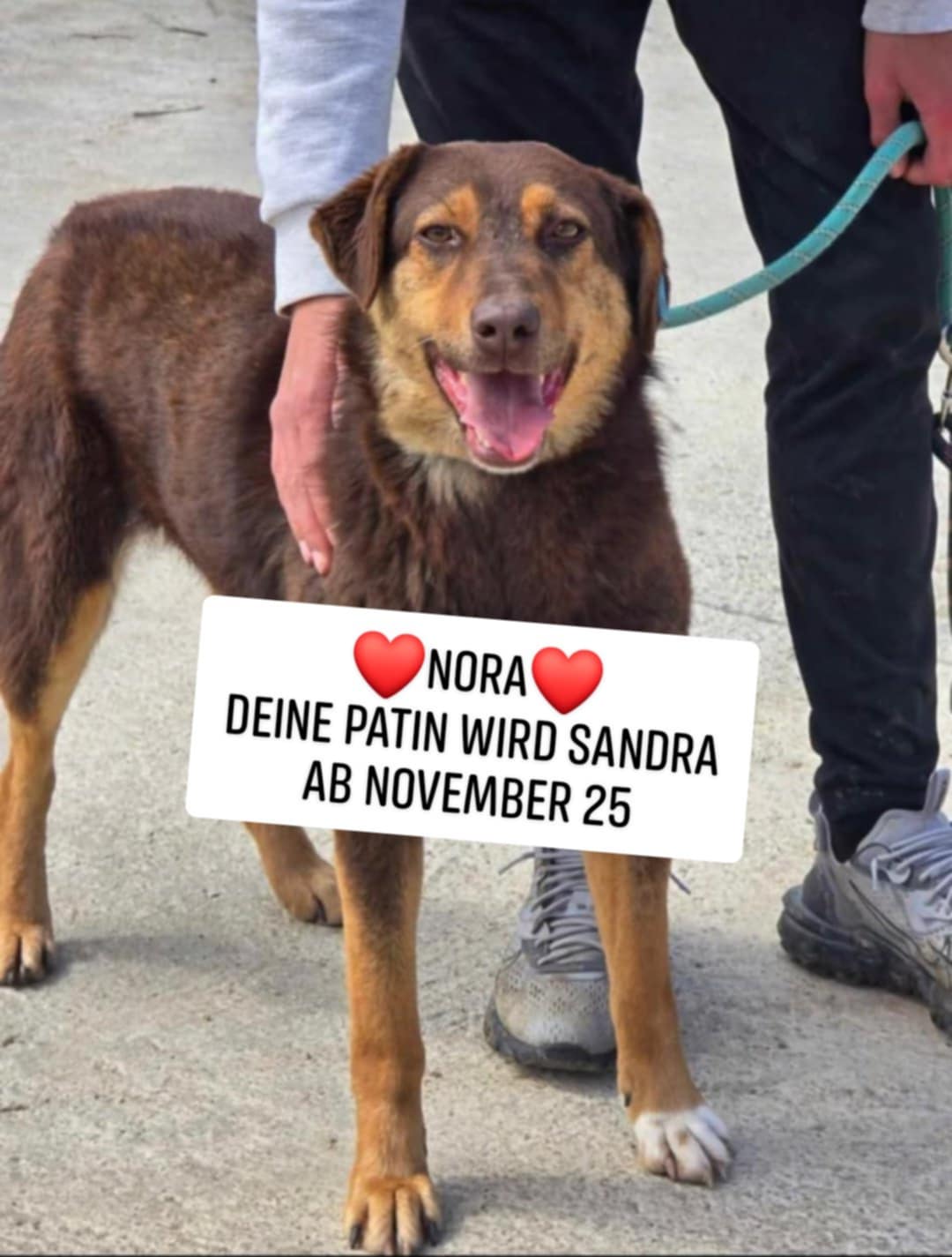 Nora, Bild 21