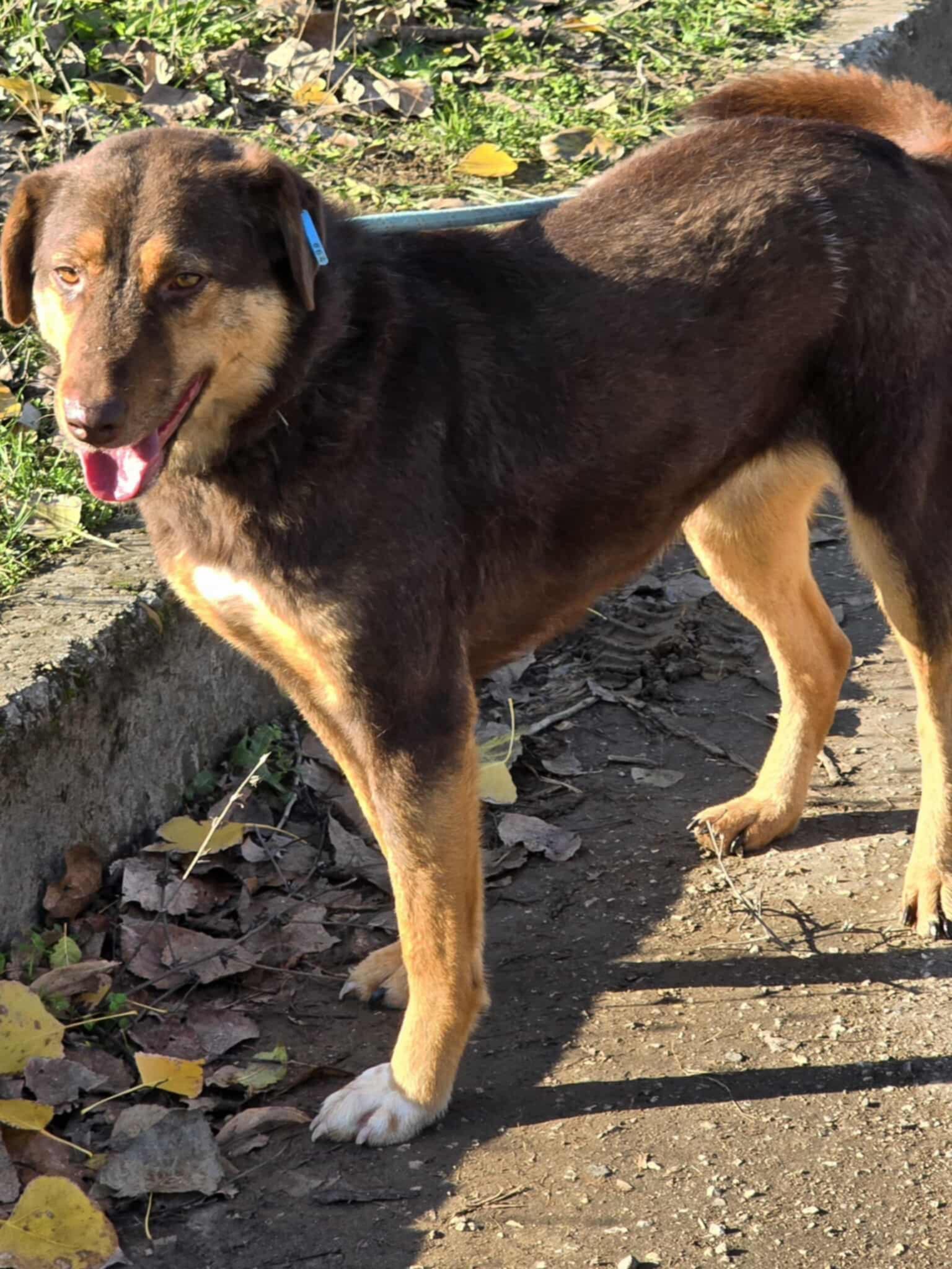 Nora, Bild 23