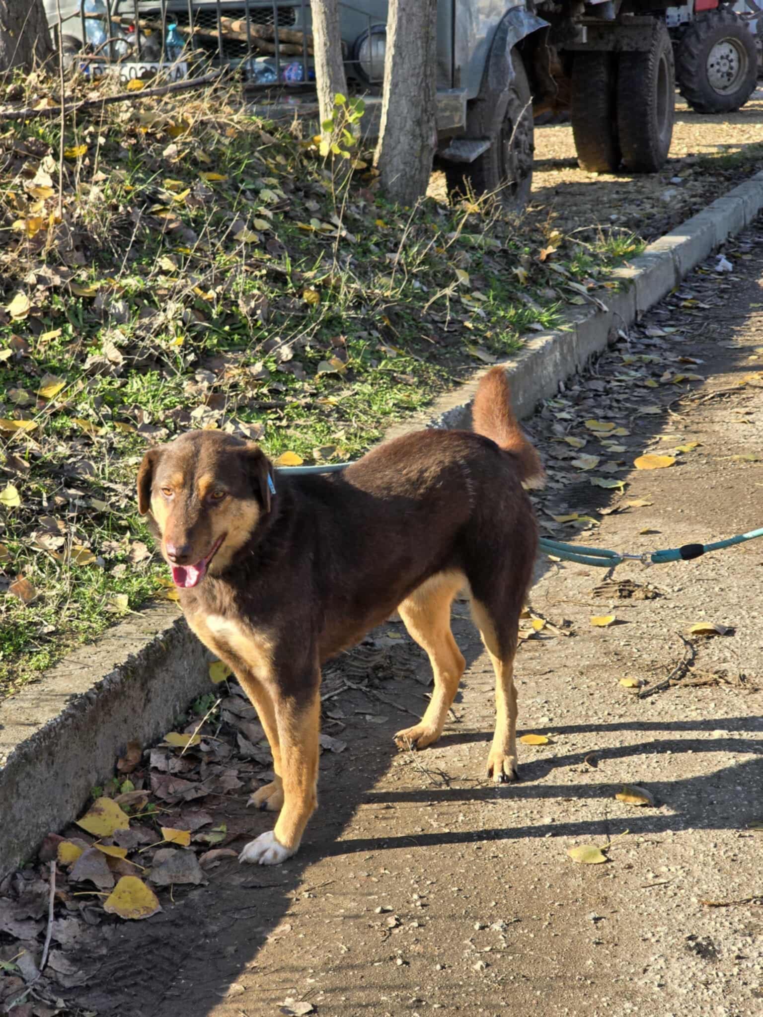Nora, Bild 24