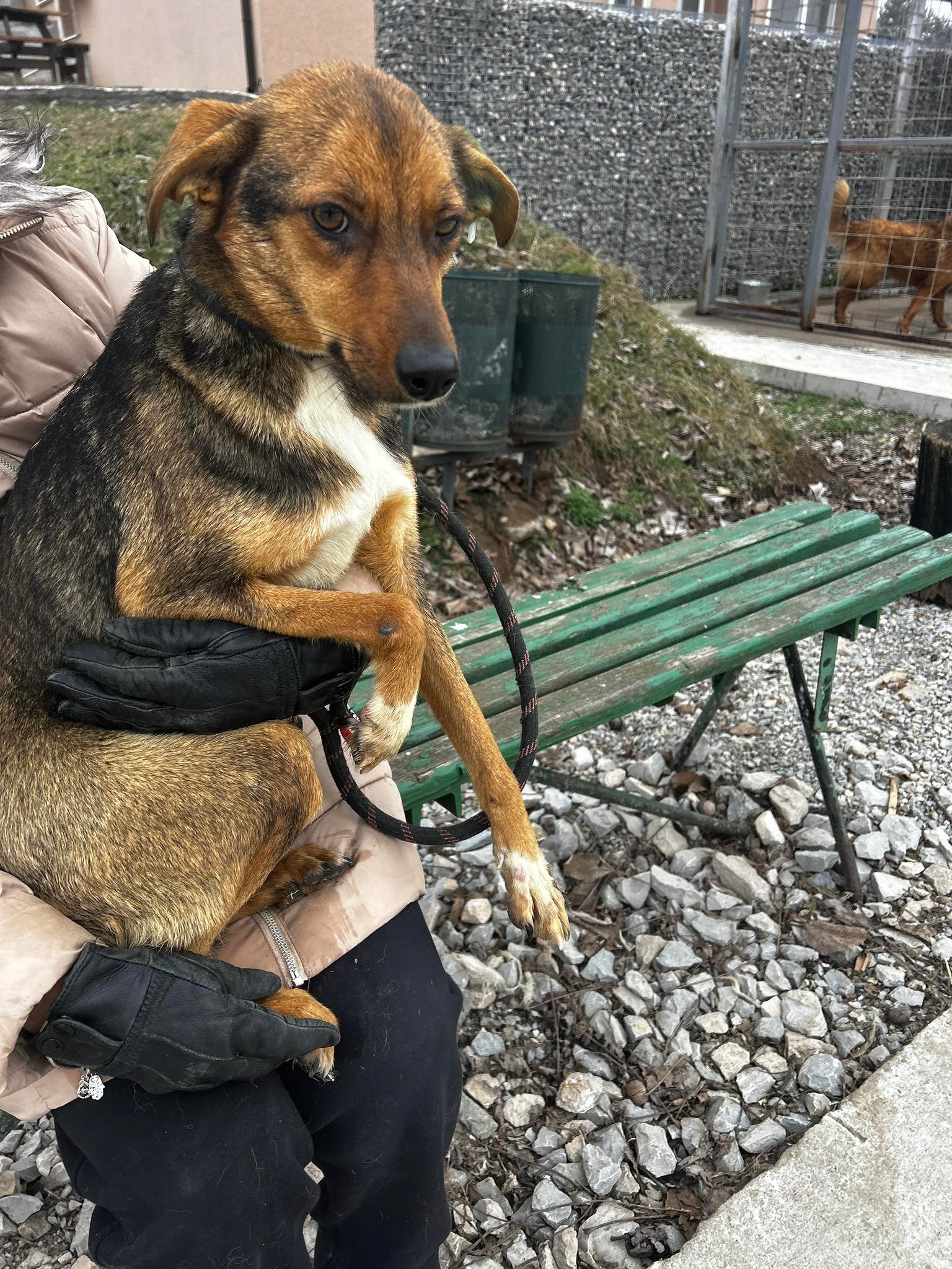 Nuxy, Bild 2