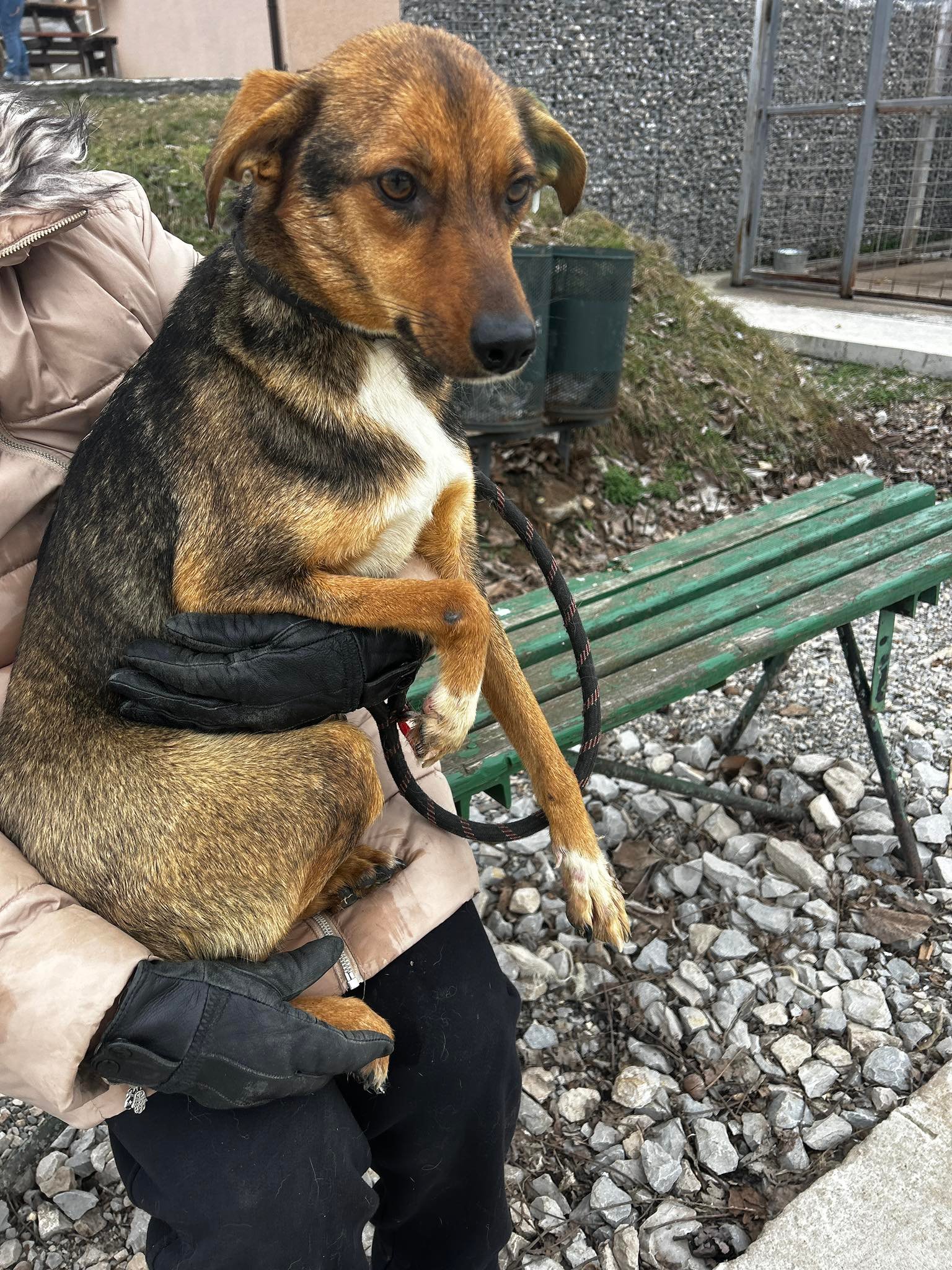 Nuxy, Bild 3