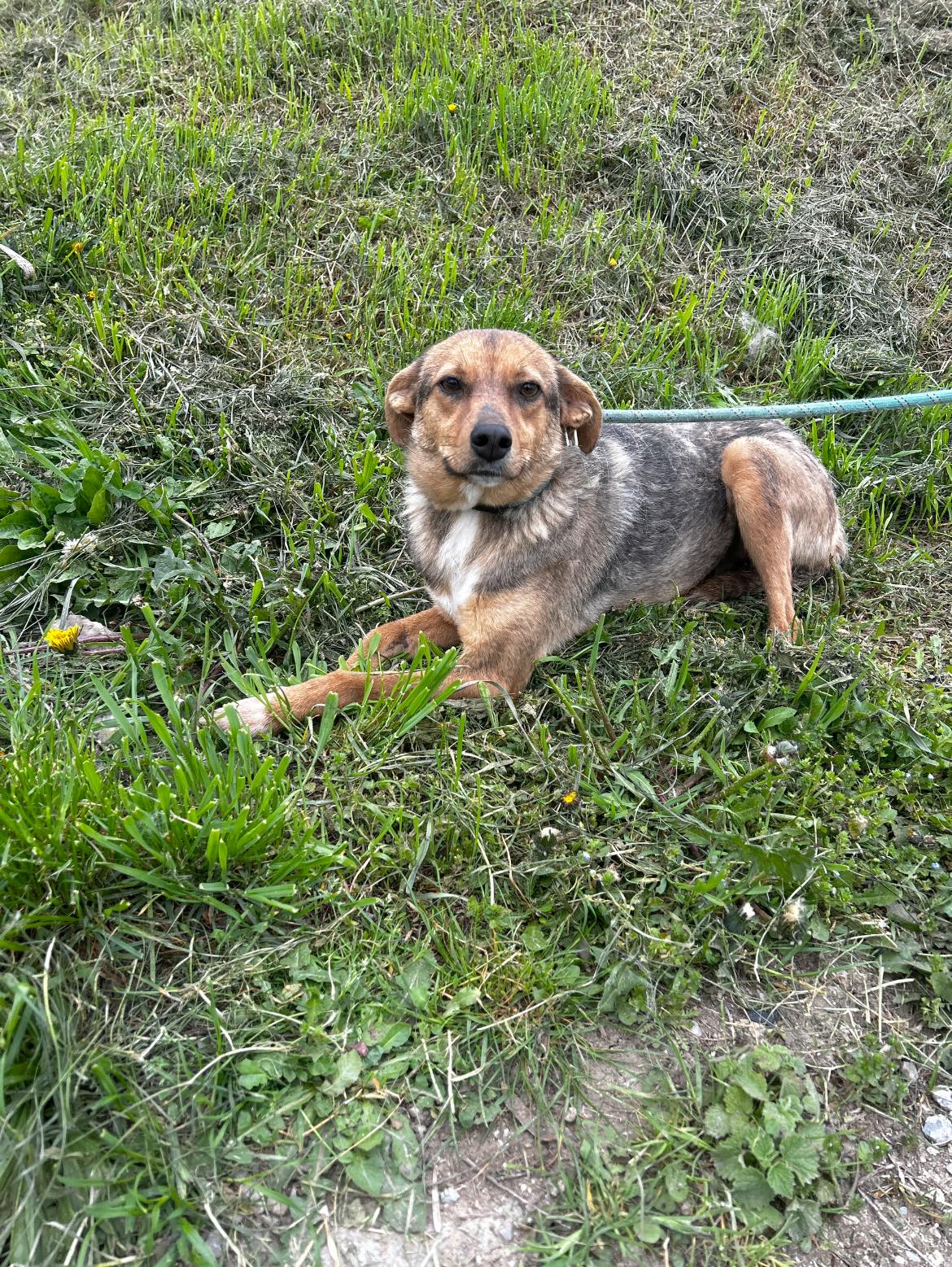 Nuxy, Bild 5